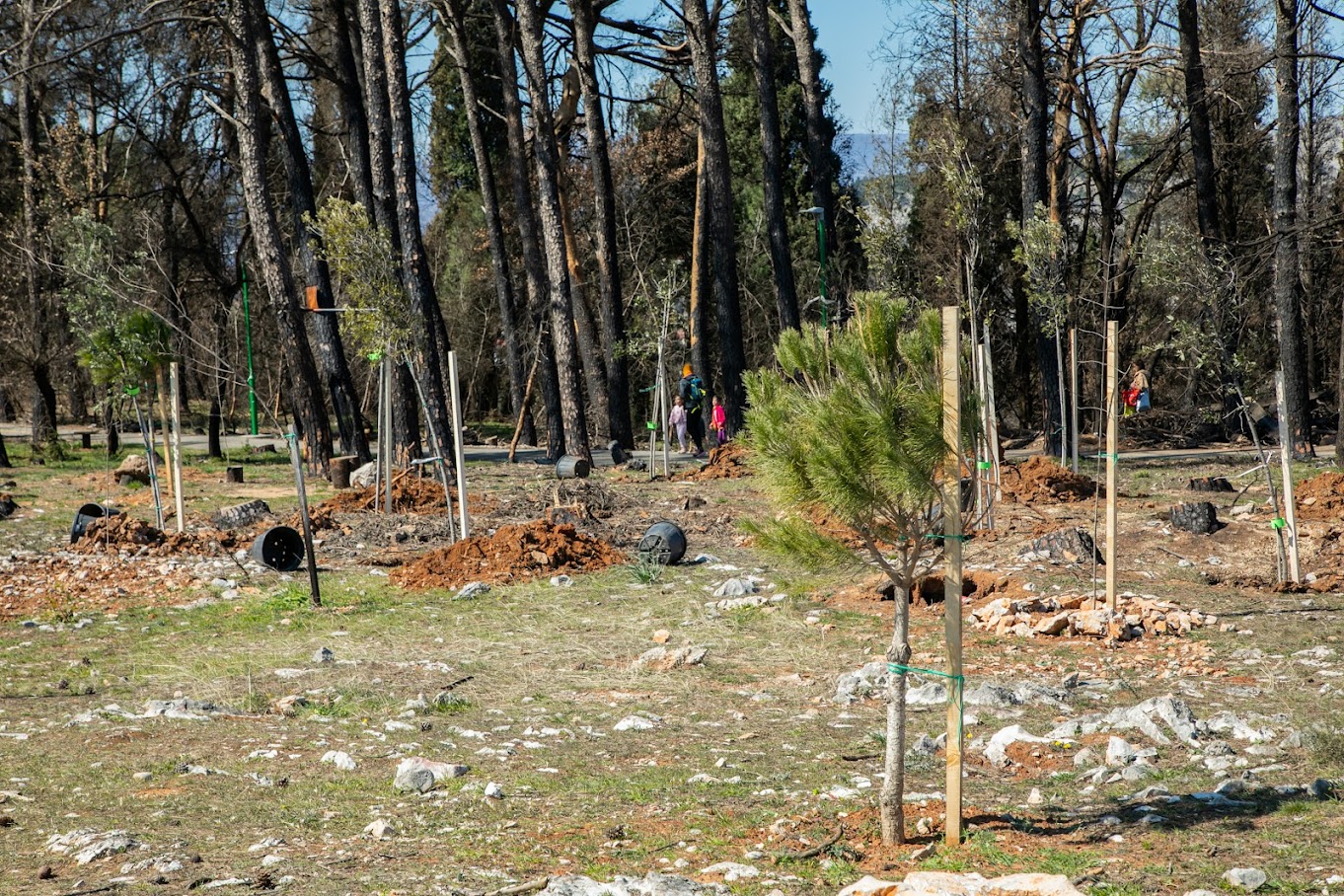 Odlična atmosfera na Gorici; Novih 250 sadnica i sadržajan program obilježili ovu subotu