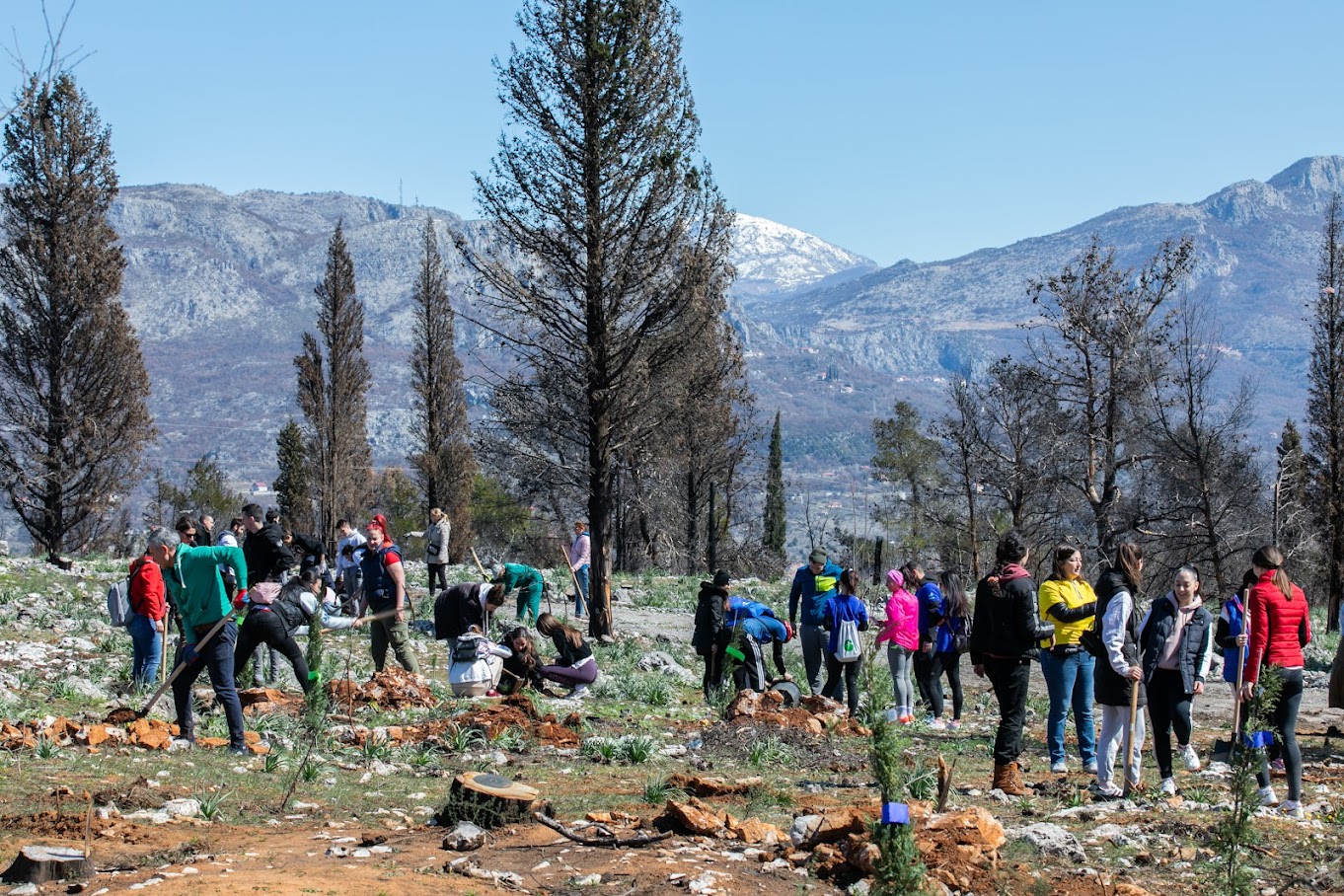 Odlična atmosfera na Gorici; Novih 250 sadnica i sadržajan program obilježili ovu subotu