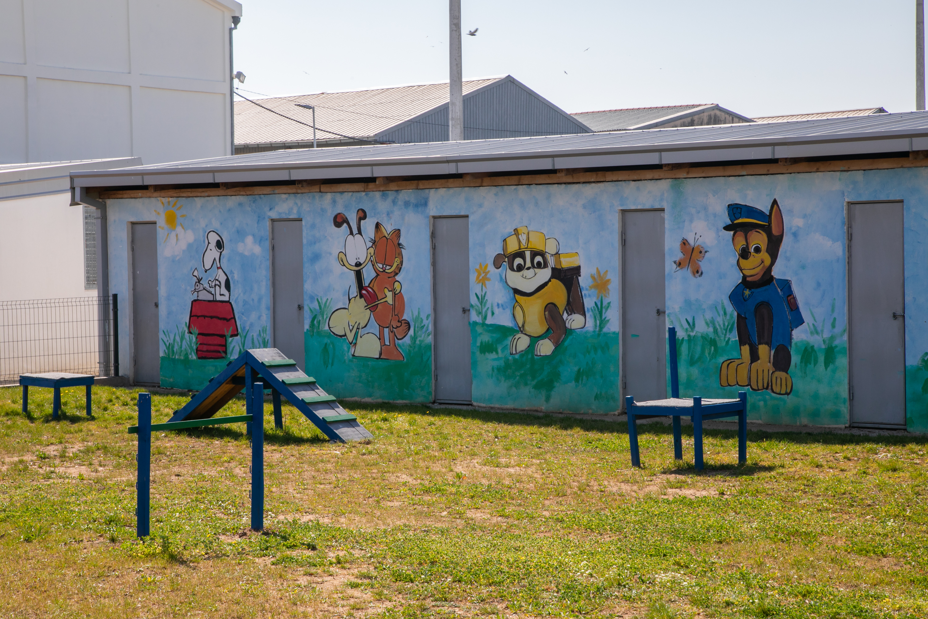 Podgorica dobila pansion za pse