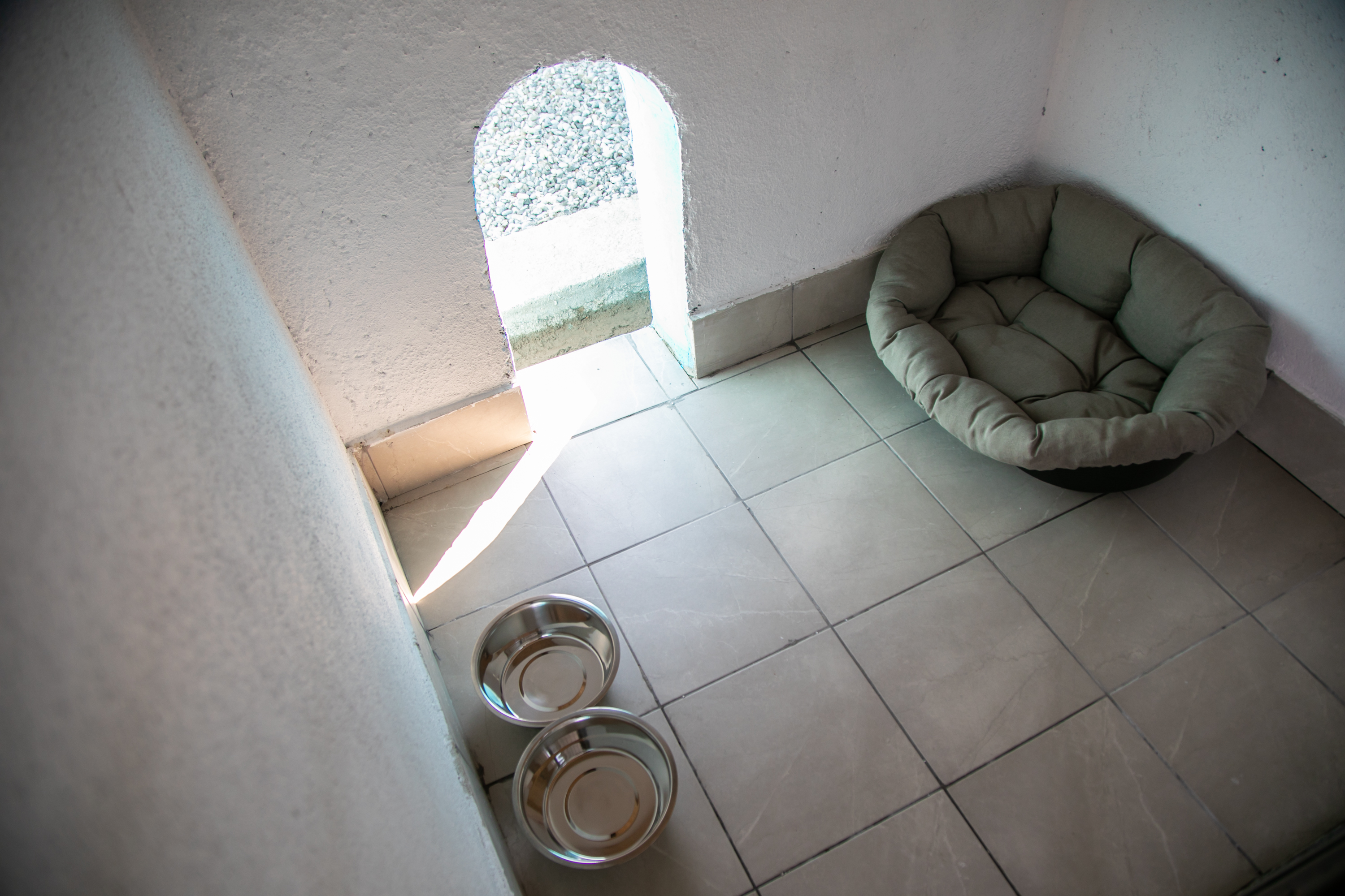 Podgorica dobila pansion za pse