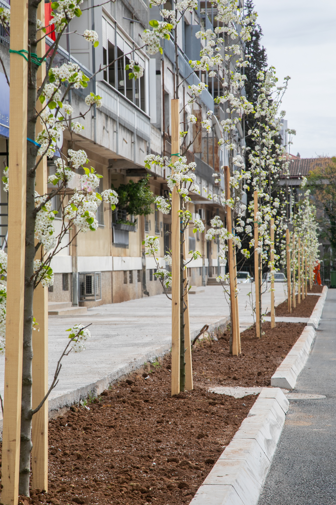 Uređen kutak u Ulici Vasa Raičkovića rezultat saradnje Glavnog grada, studenata i lokalne zajednice