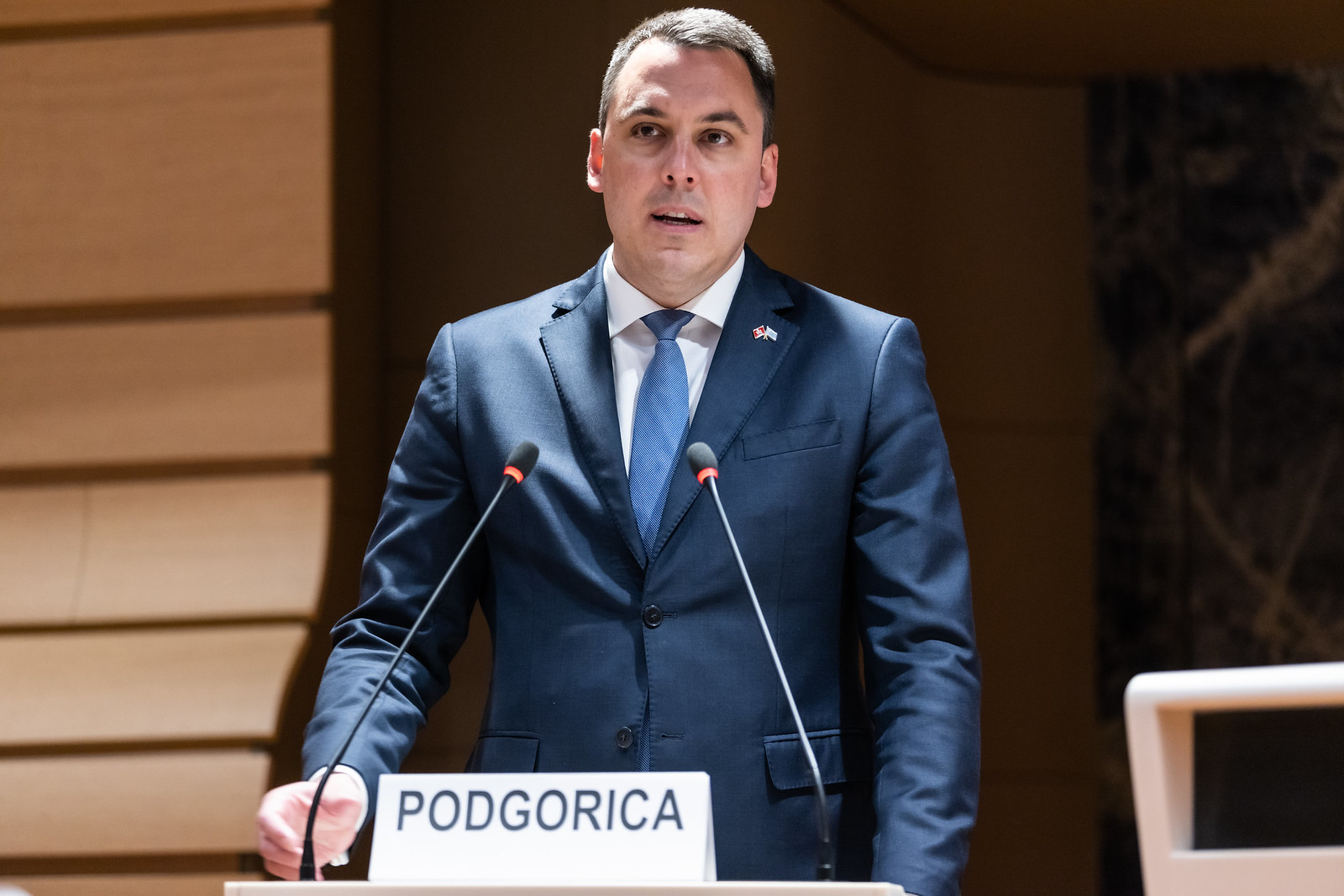 Odlični rezultati Podgorice predstavljeni na Forumu gradonačelnika u Ženevi