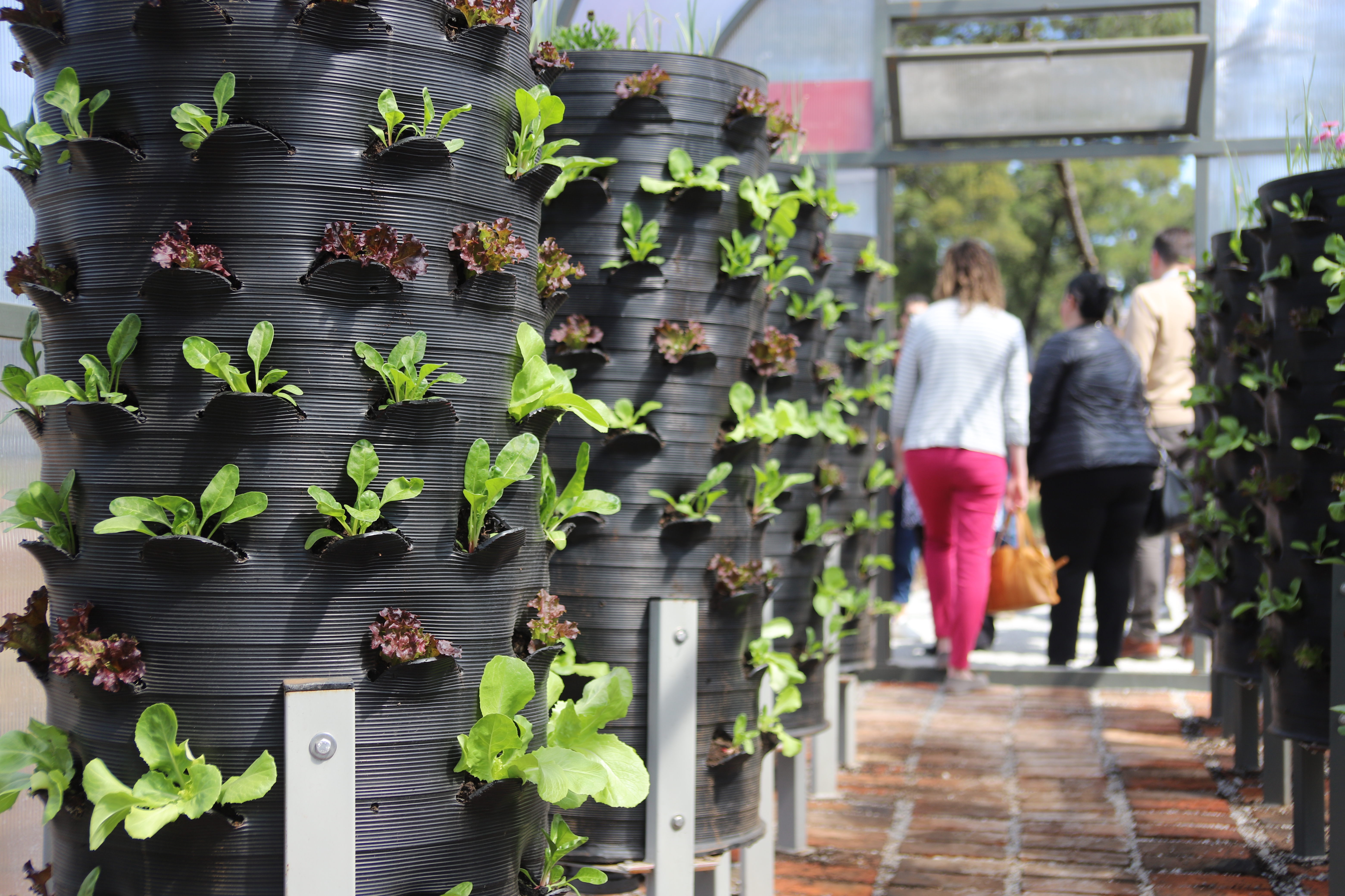 Zvanično otvorena prva urbana bašta u Podgorici; Mjesto koje će podstaći osjećaj zajedništva