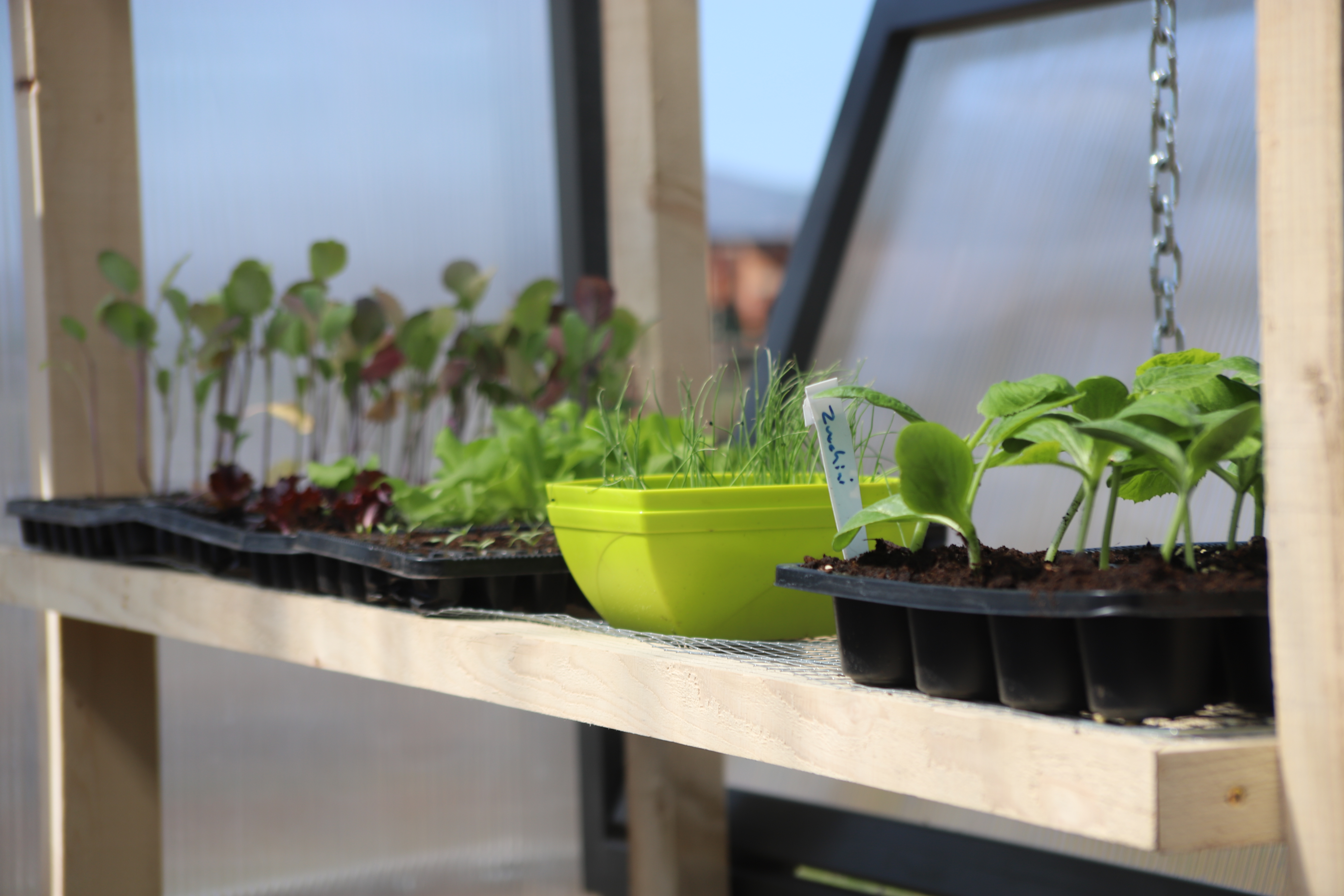 Zvanično otvorena prva urbana bašta u Podgorici; Mjesto koje će podstaći osjećaj zajedništva