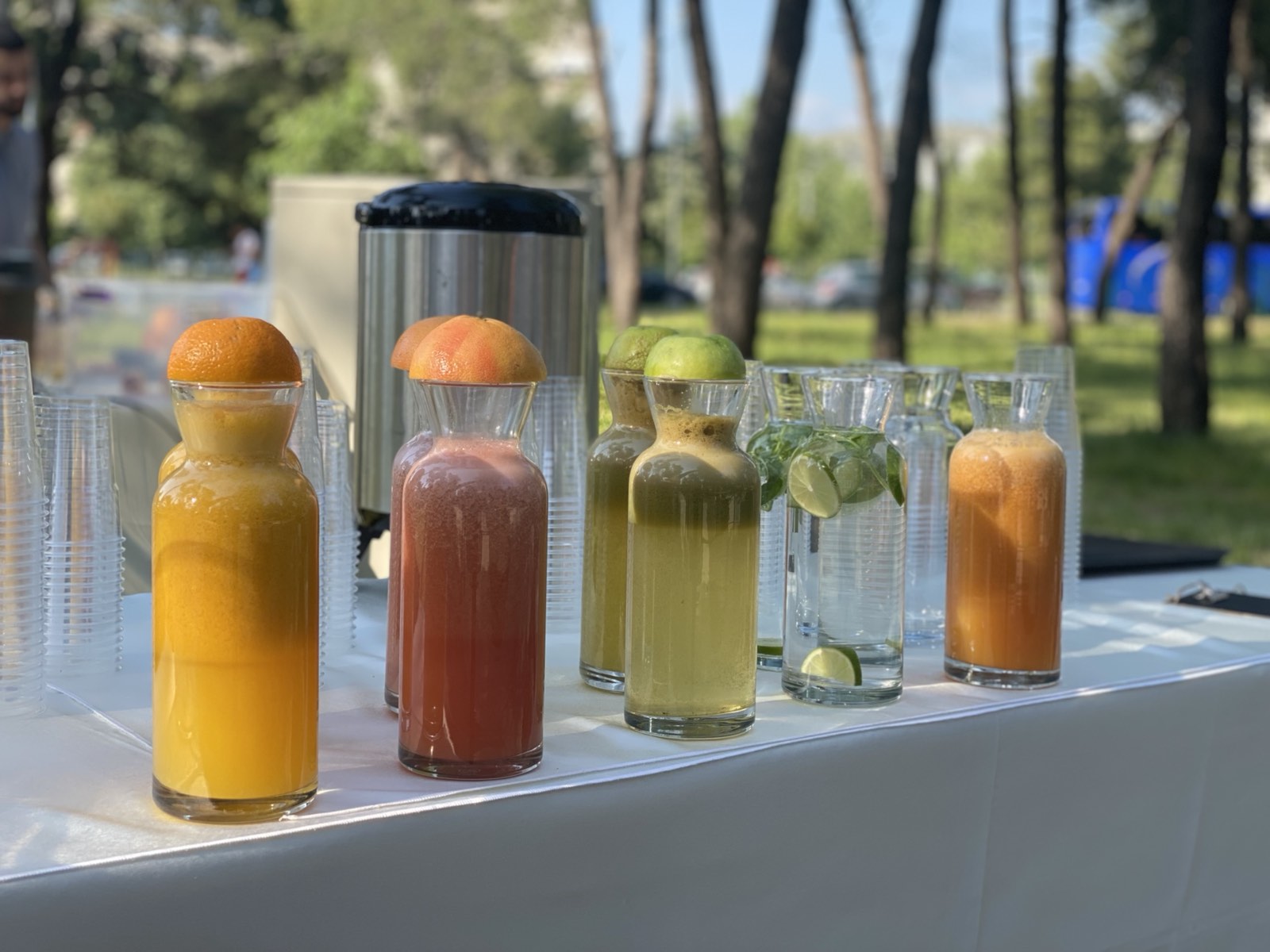 Manifestacija “Za našu Podgoricu i zdravu porodicu” okupila brojne sugrađane