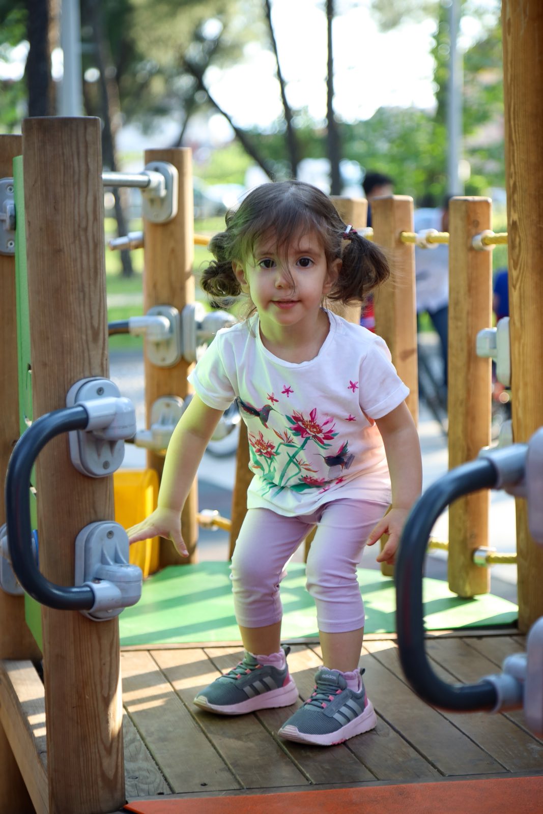 Manifestacija “Za našu Podgoricu i zdravu porodicu” okupila brojne sugrađane