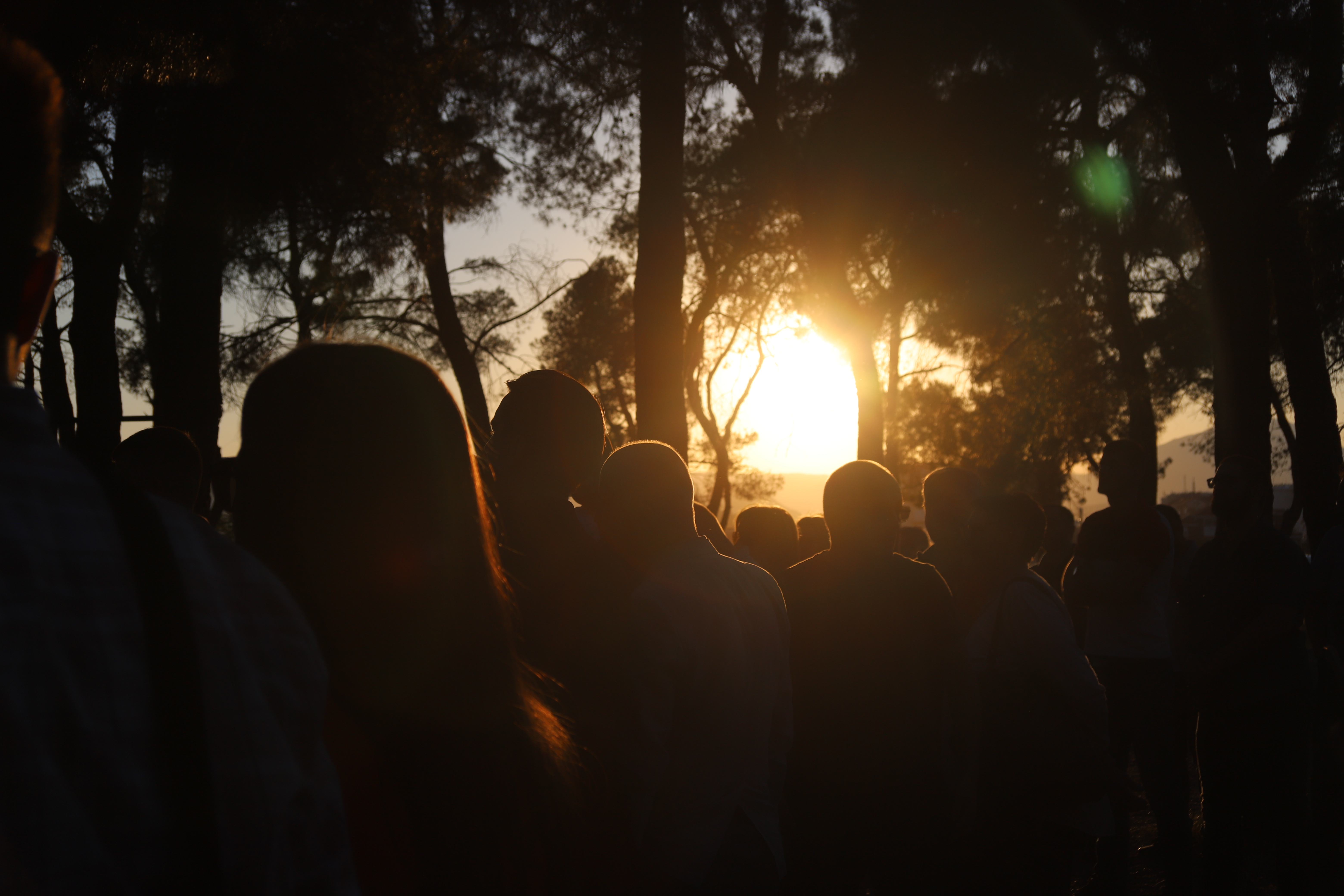Veliko interesovanje građana za učešće u osmišljavanju najvećeg parka u Podgorici; Već pristižu sjajne ideje