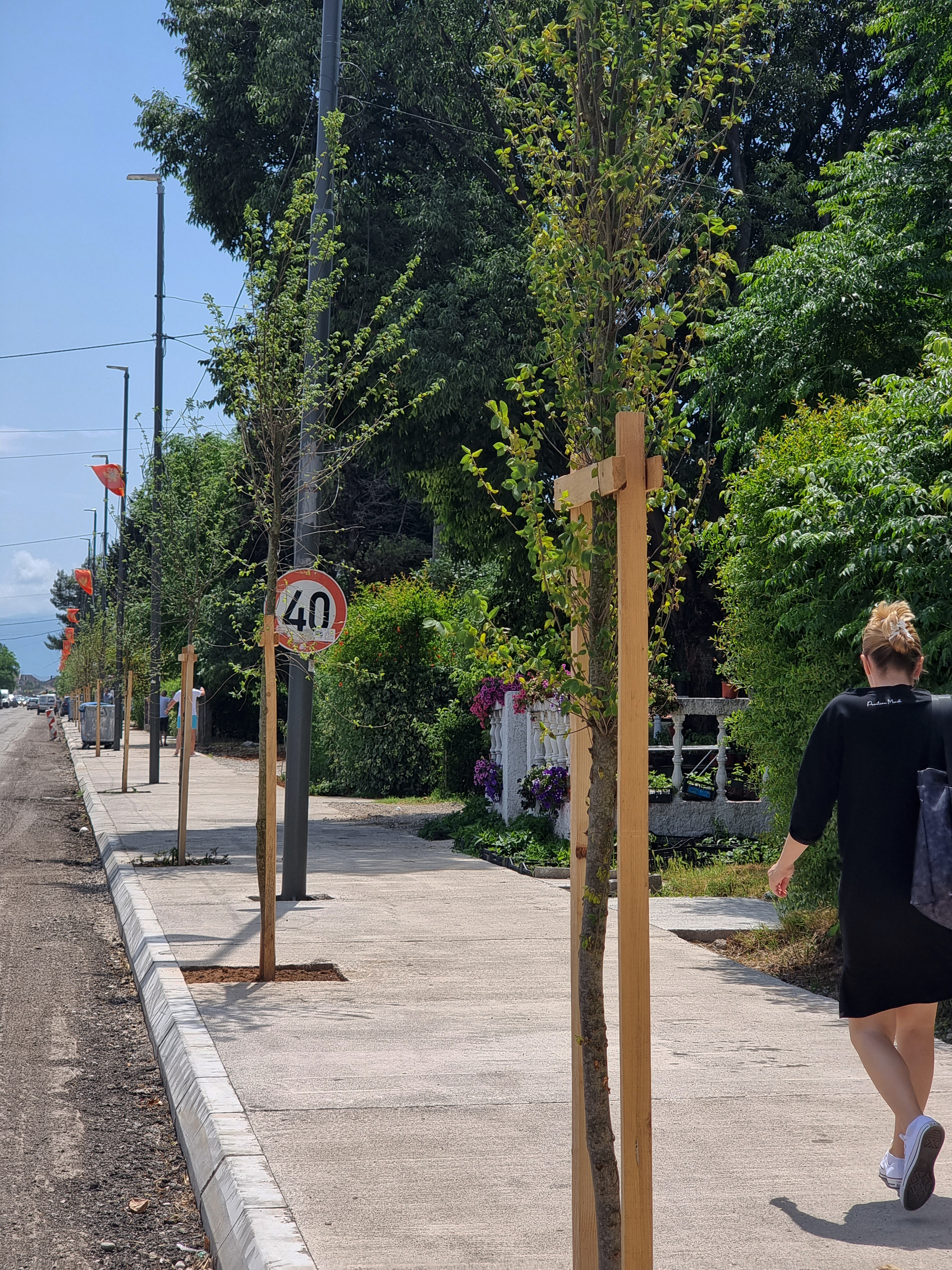 Novi drvored u Ulici kralja Nikole