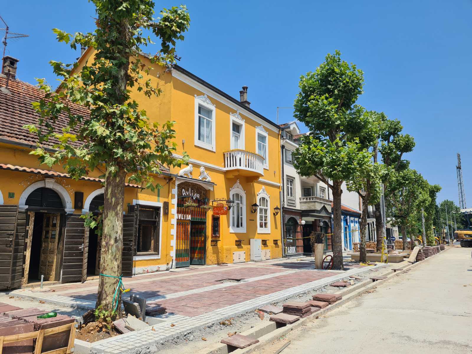 Obogaćuje se biljni fond u samom centru grada: Njegoševa ulica dobija dodatnih sedam sadnica platana