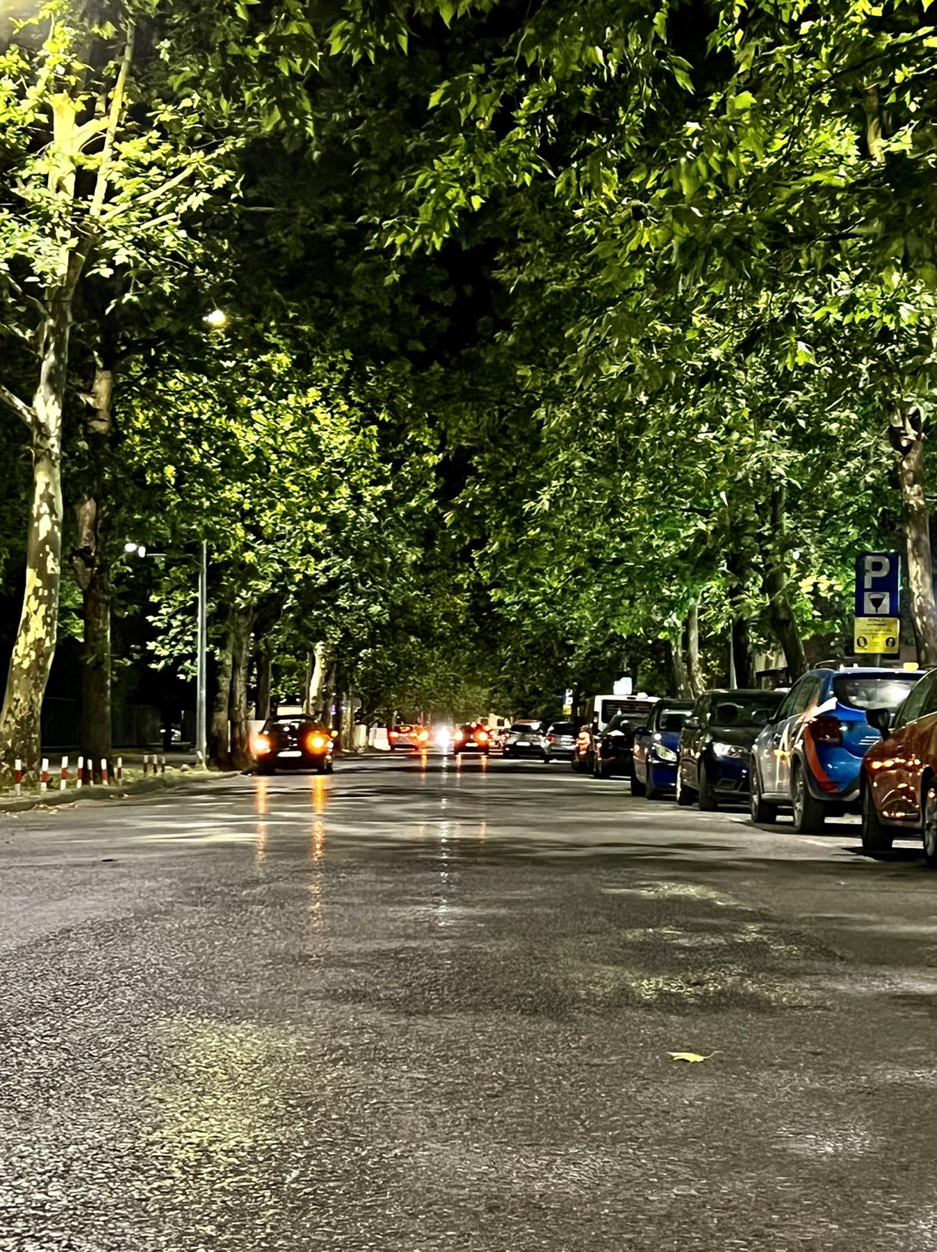 Završena druga faza modernizacije javne rasvjete u Ulici Vasa Raičkovića