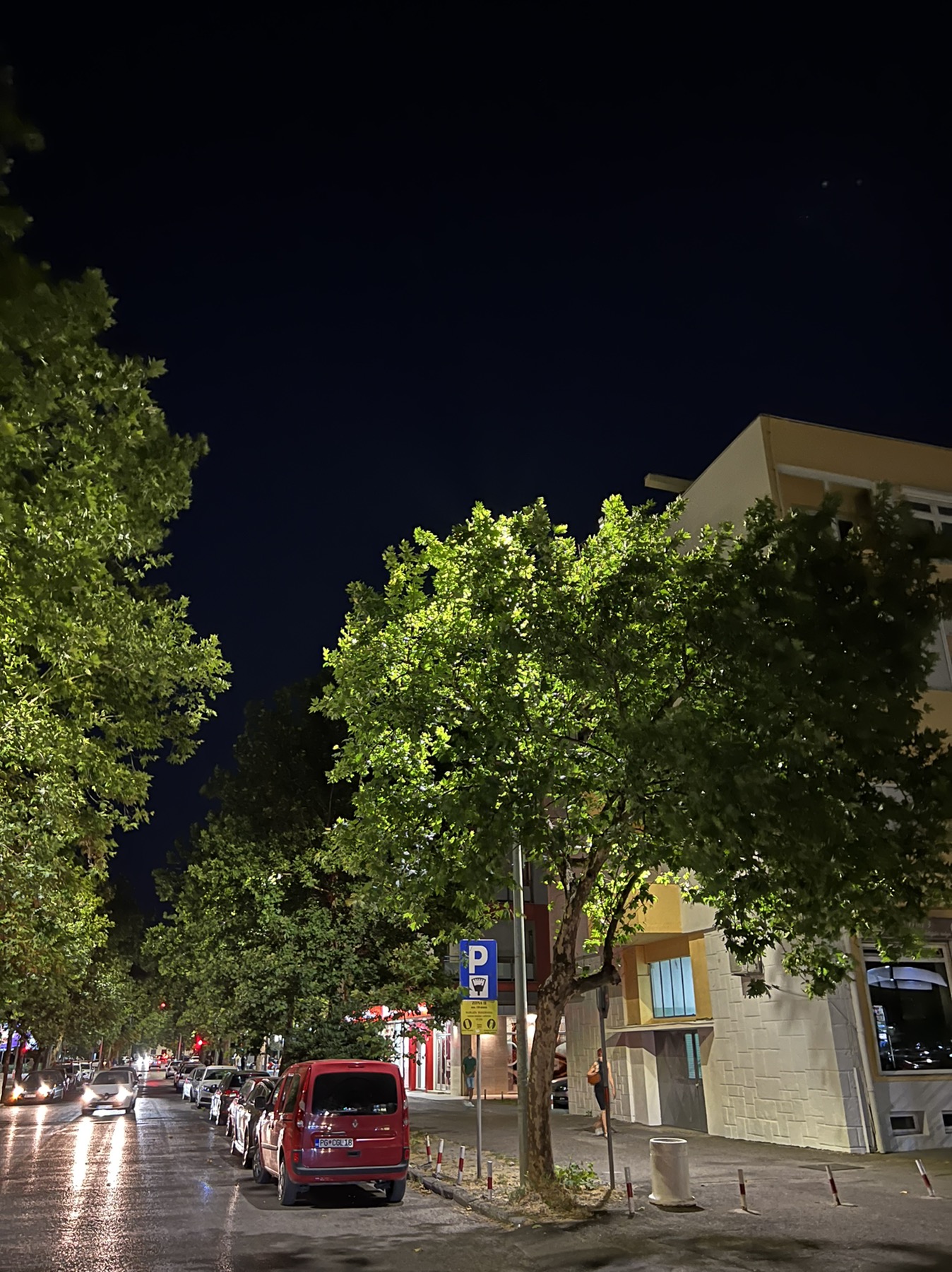 Završena druga faza modernizacije javne rasvjete u Ulici Vasa Raičkovića