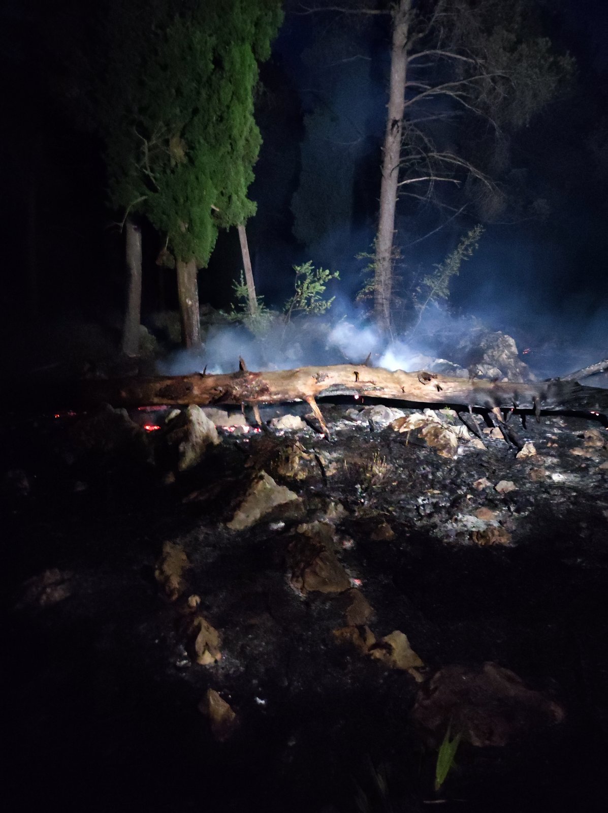 Brzom reakcijom vatrogasaca spriječeno širenje požara u podnožju brda Gorica