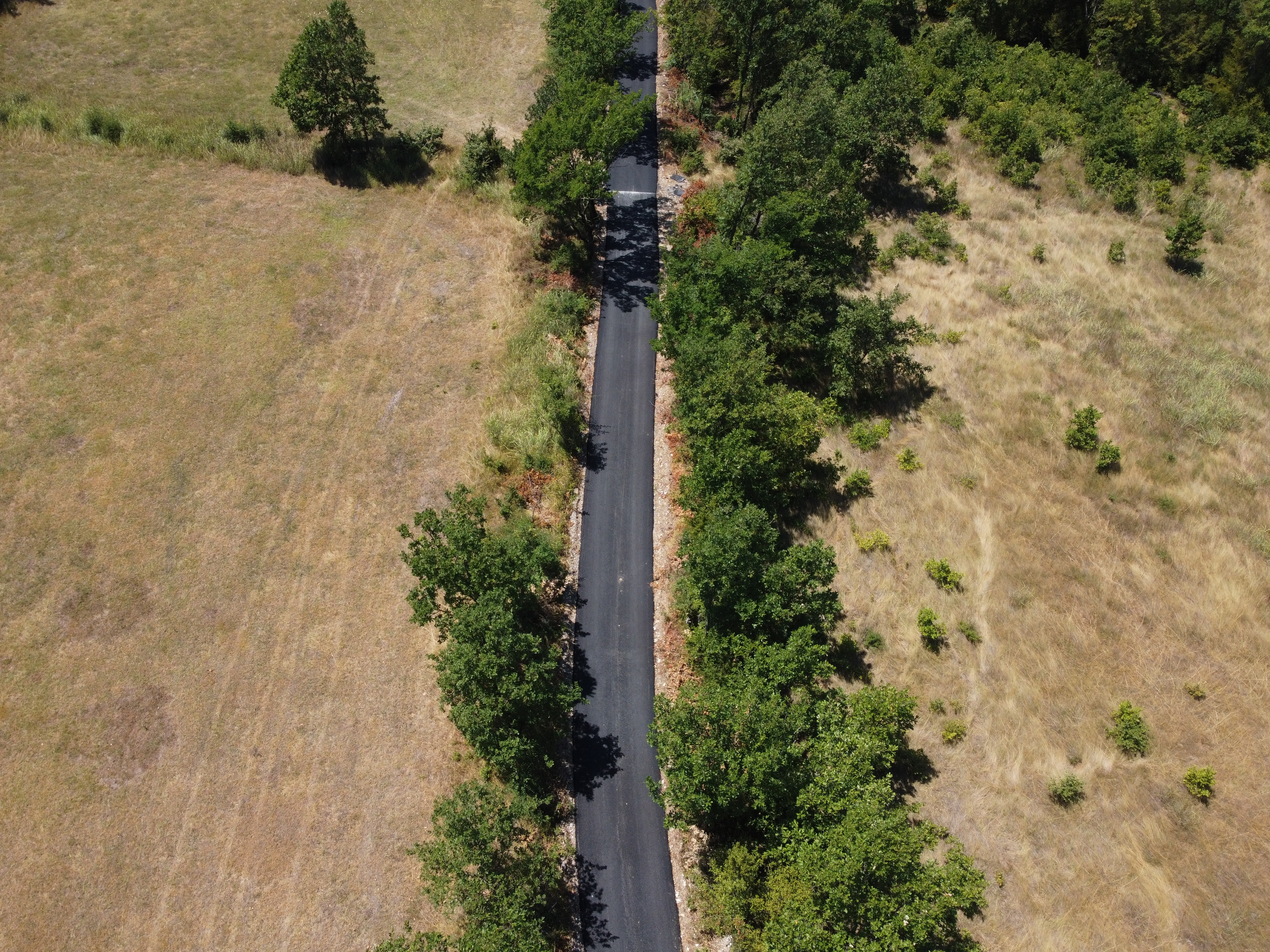 Nastavlja se intenzivan razvoj Pipera