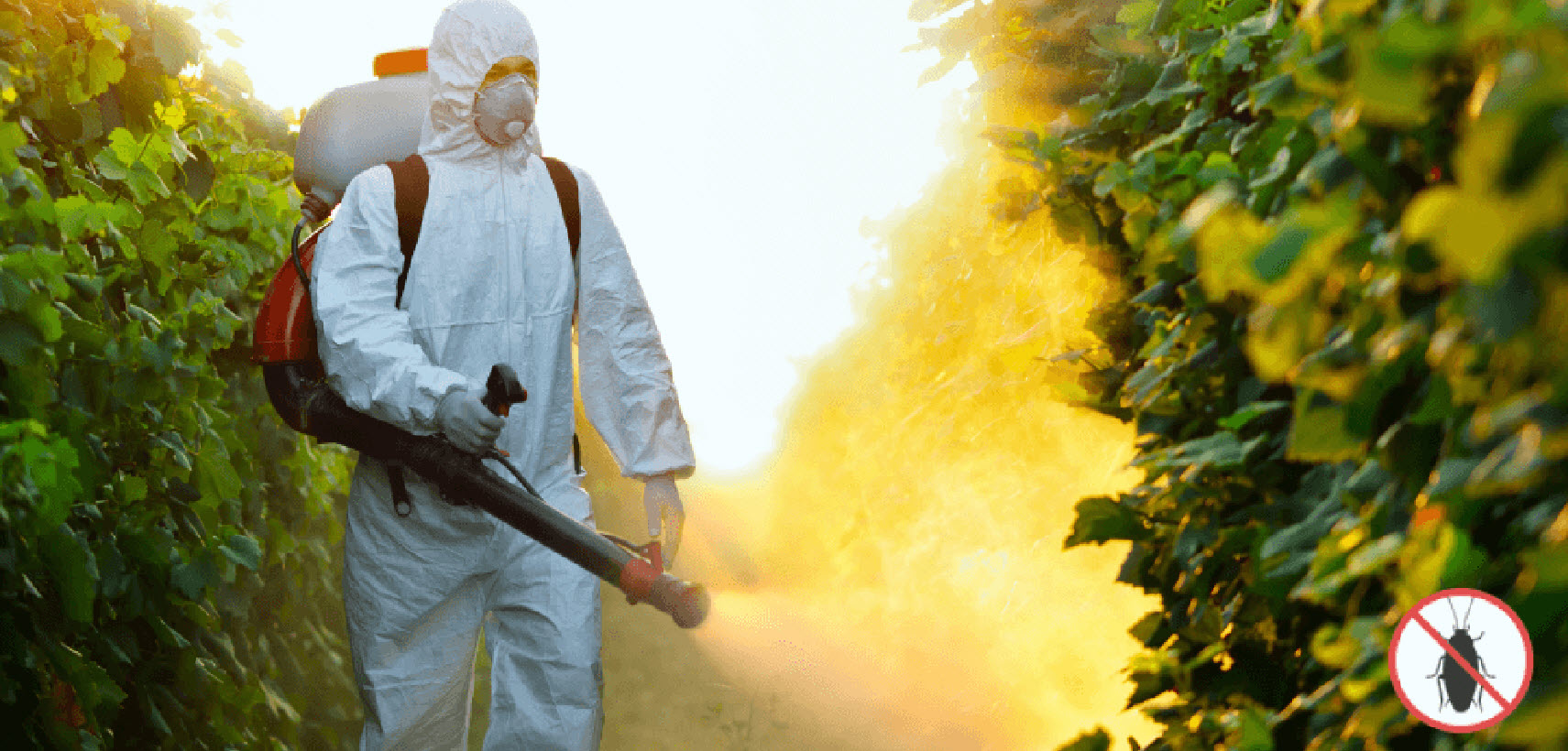 Nastavlja se dezinsekcija na području Podgorice