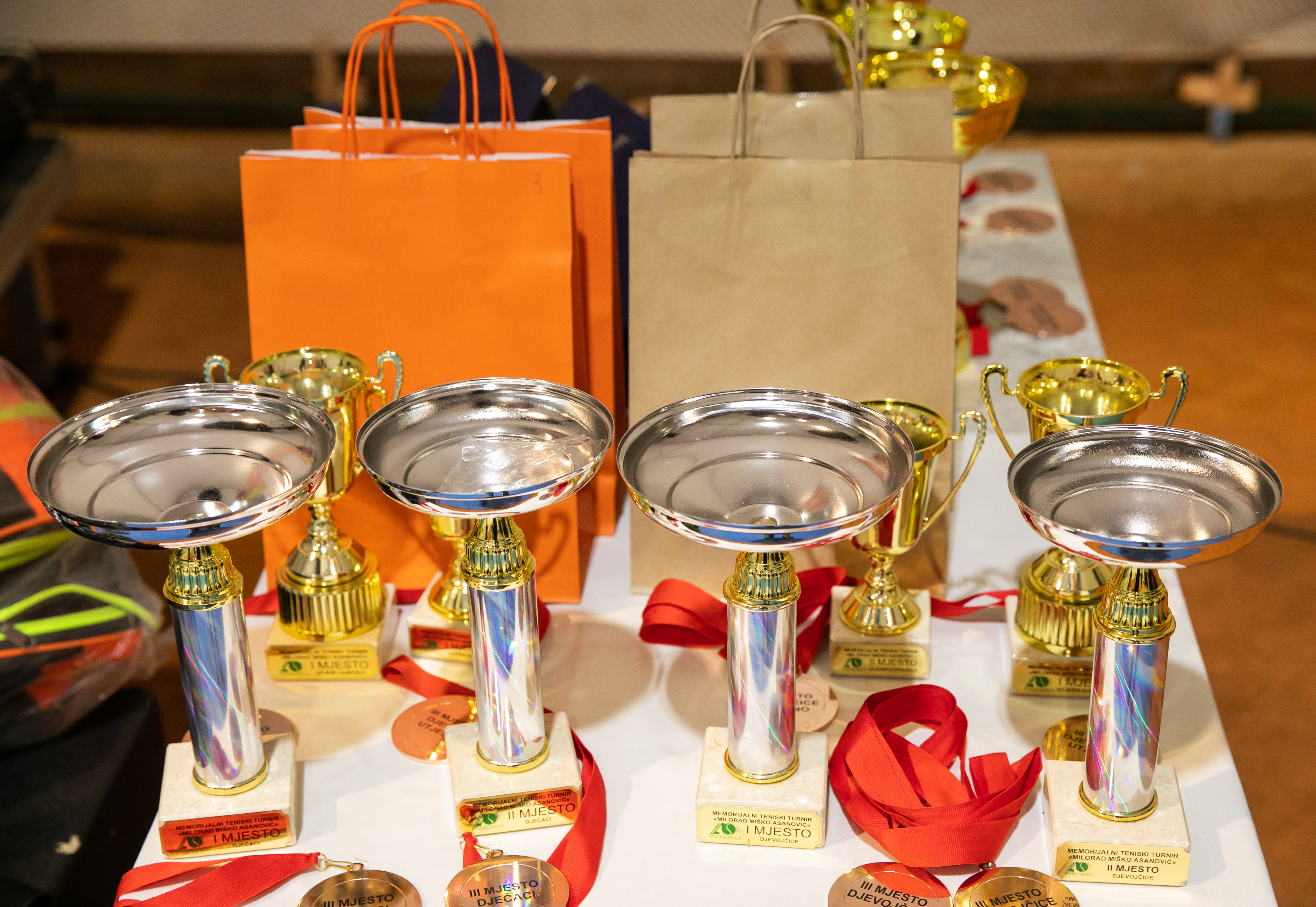 Uz podršku Glavnog grada održan prvi Memorijalni turnir „Milorad Miško Asanović“