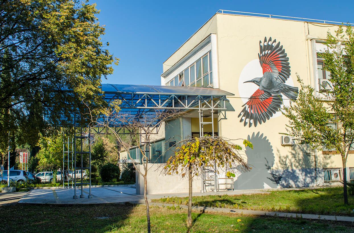 Bogat program tokom oktobra u KIC-u "Budo Tomović"