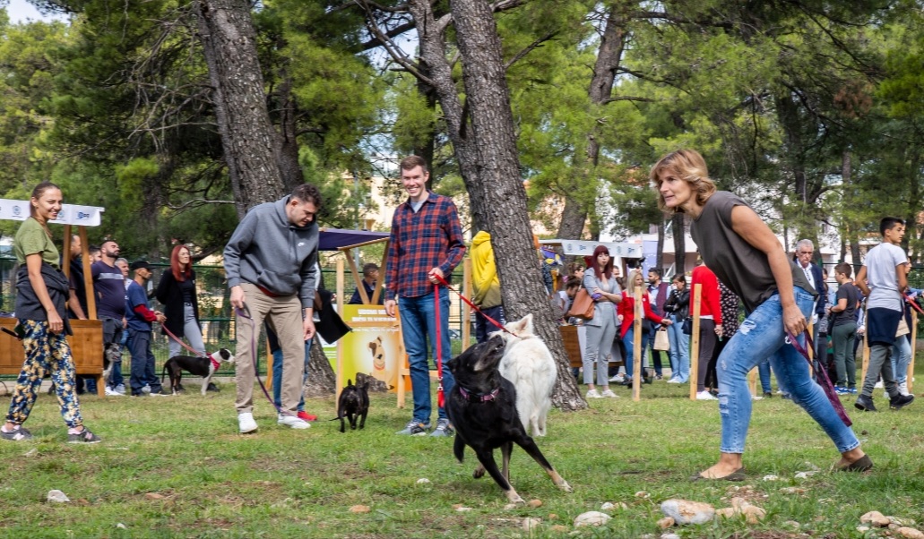 Podgorica dobila park za pse