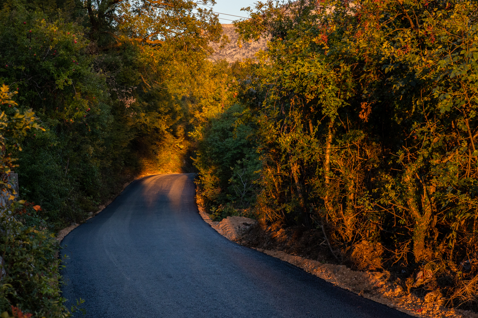 Na inicijativu mještana obnovljen stari put za Kuče koji povezuje Donju i Gornju Vrbicu