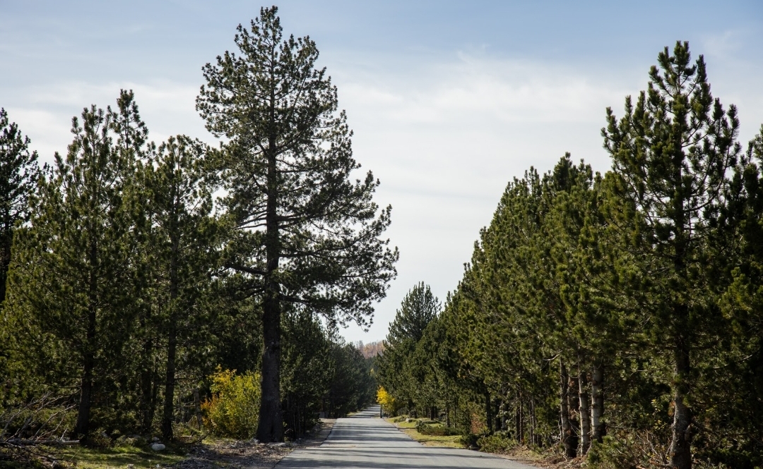 Brojne investicije Glavnog grada u Kučima otvorile novu prespektivu razvoja i turističke valorizacije ovog kraja