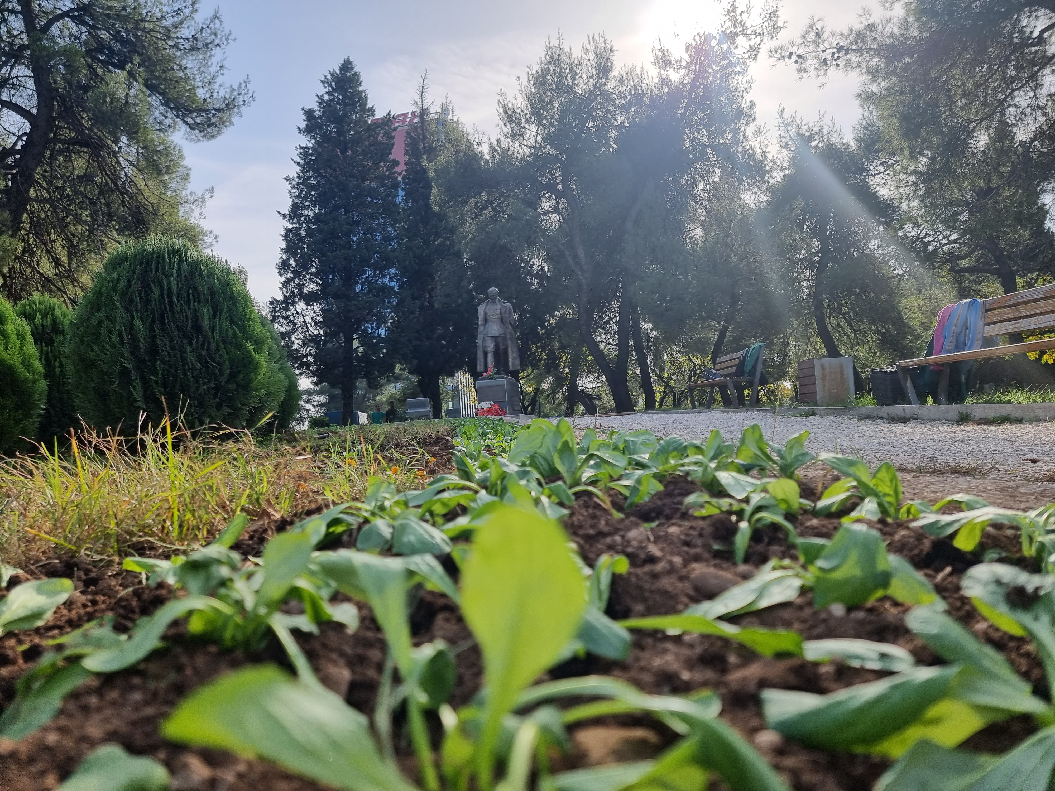 Ekipe gradskog preduzeća Zelenilo angažovane na više lokacija