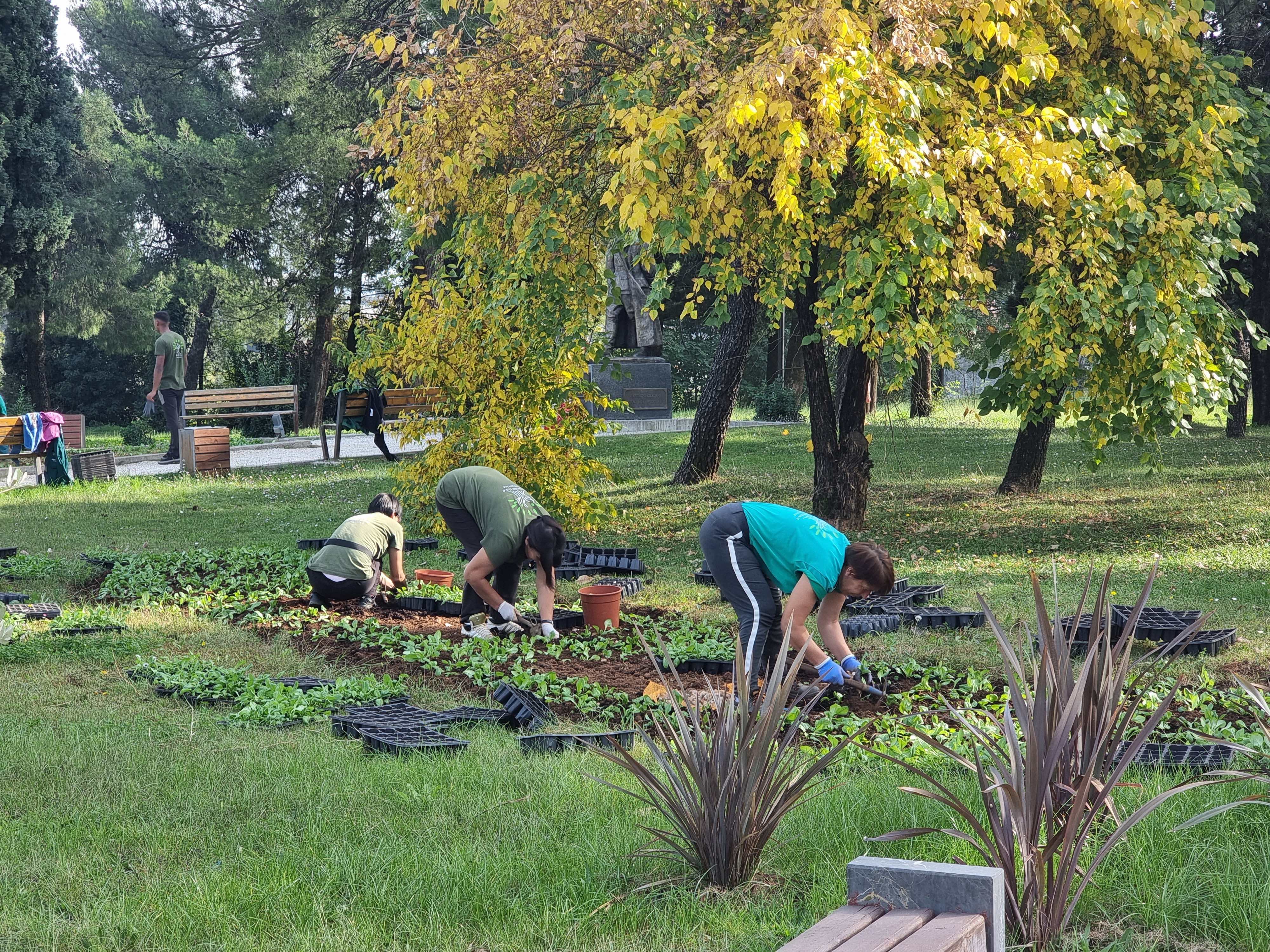Ekipe gradskog preduzeća Zelenilo angažovane na više lokacija