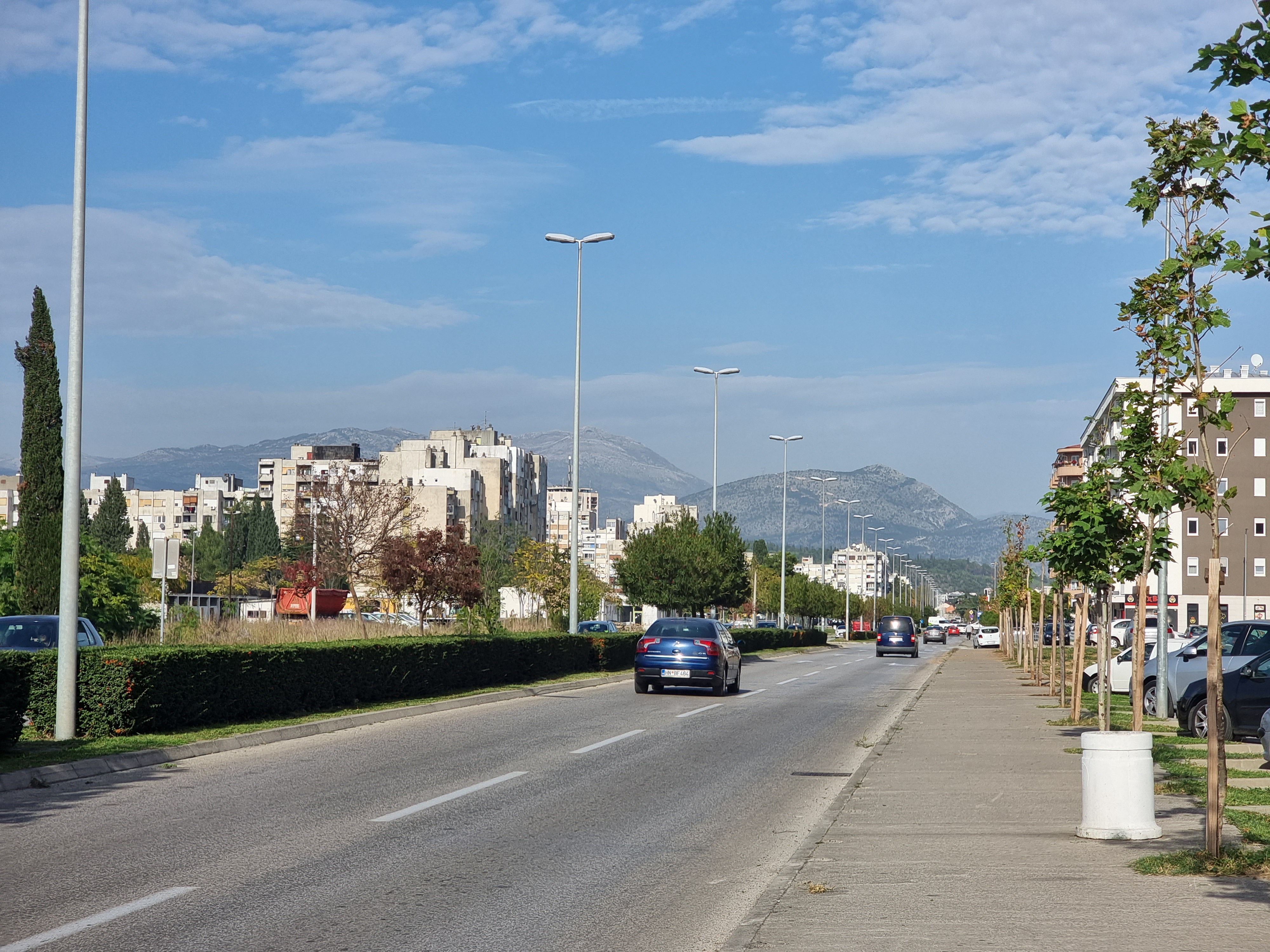 Ekipe gradskog preduzeća Zelenilo angažovane na više lokacija