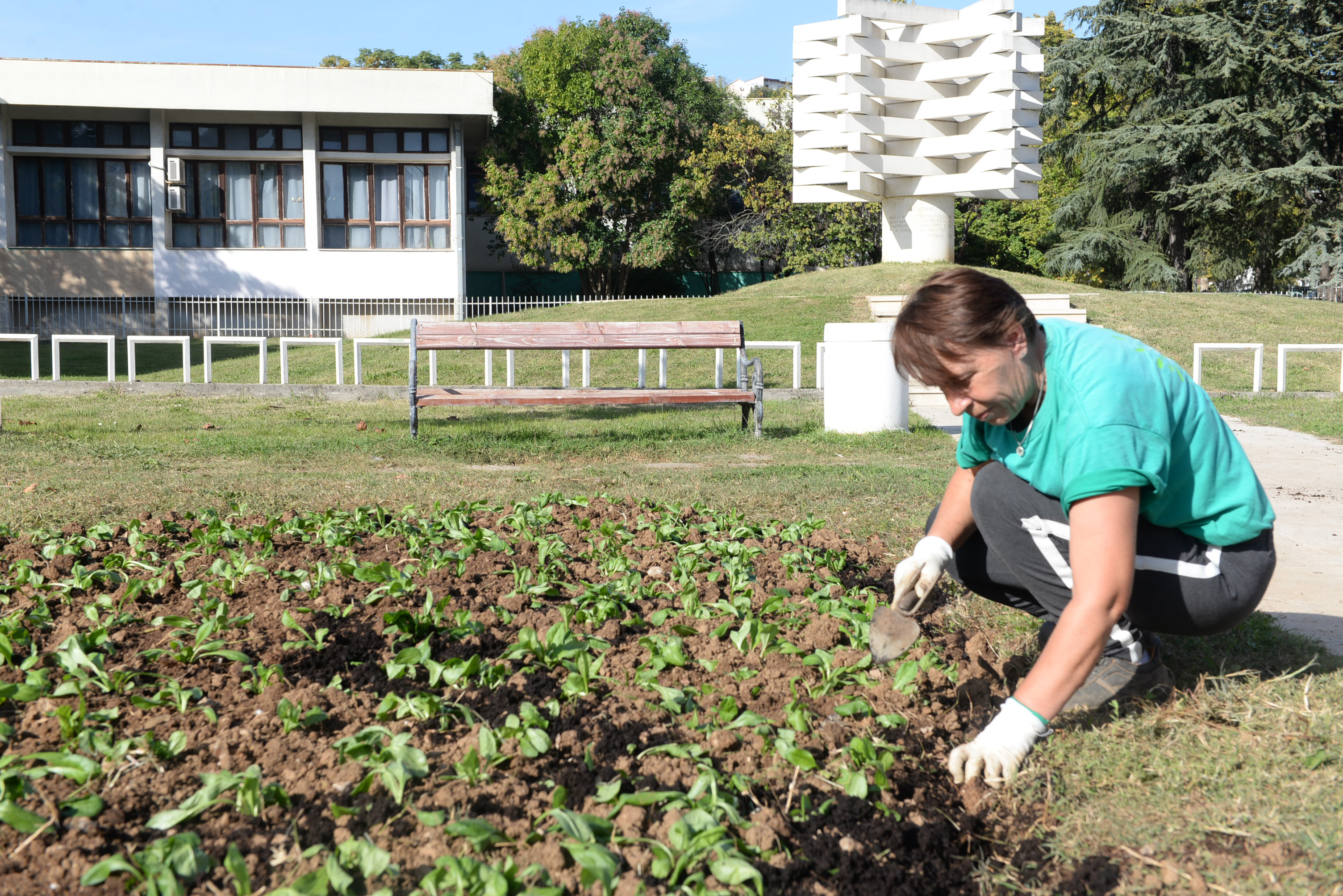 Ekipe gradskog preduzeća Zelenilo angažovane na više lokacija