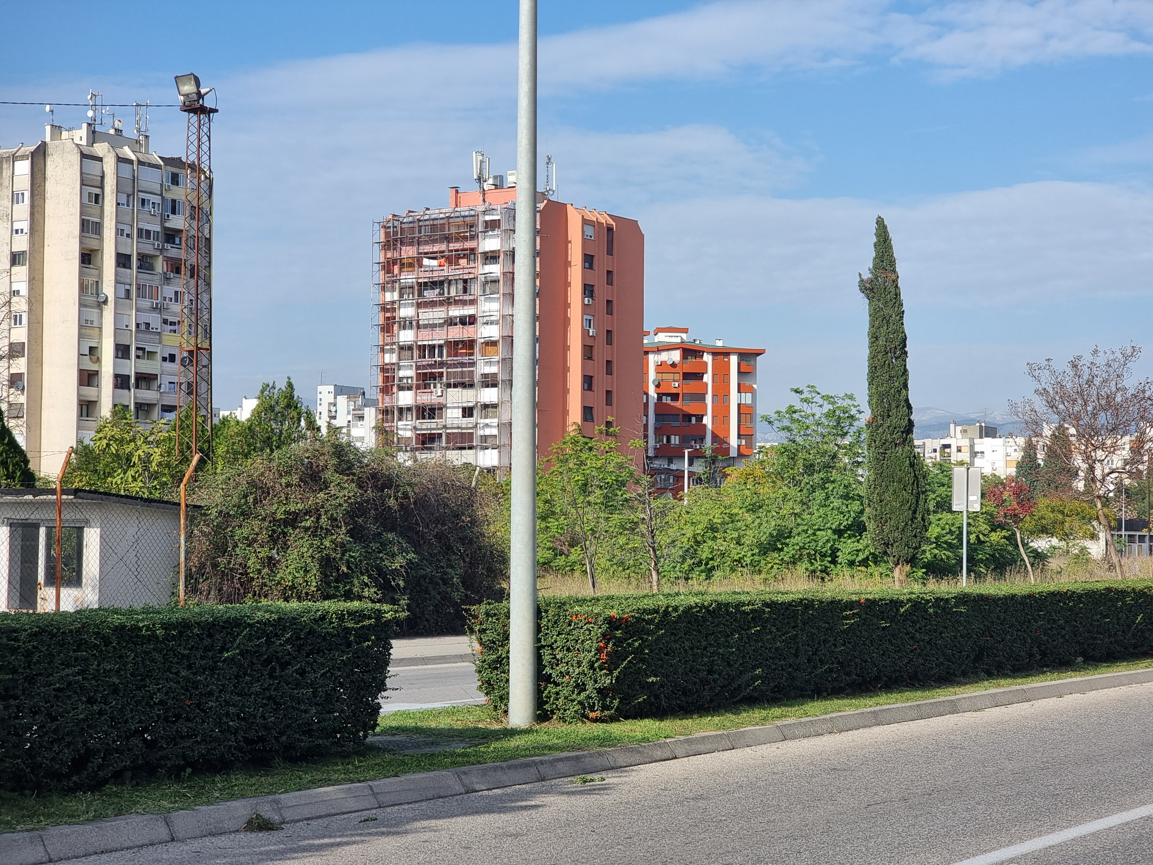 Ekipe gradskog preduzeća Zelenilo angažovane na više lokacija