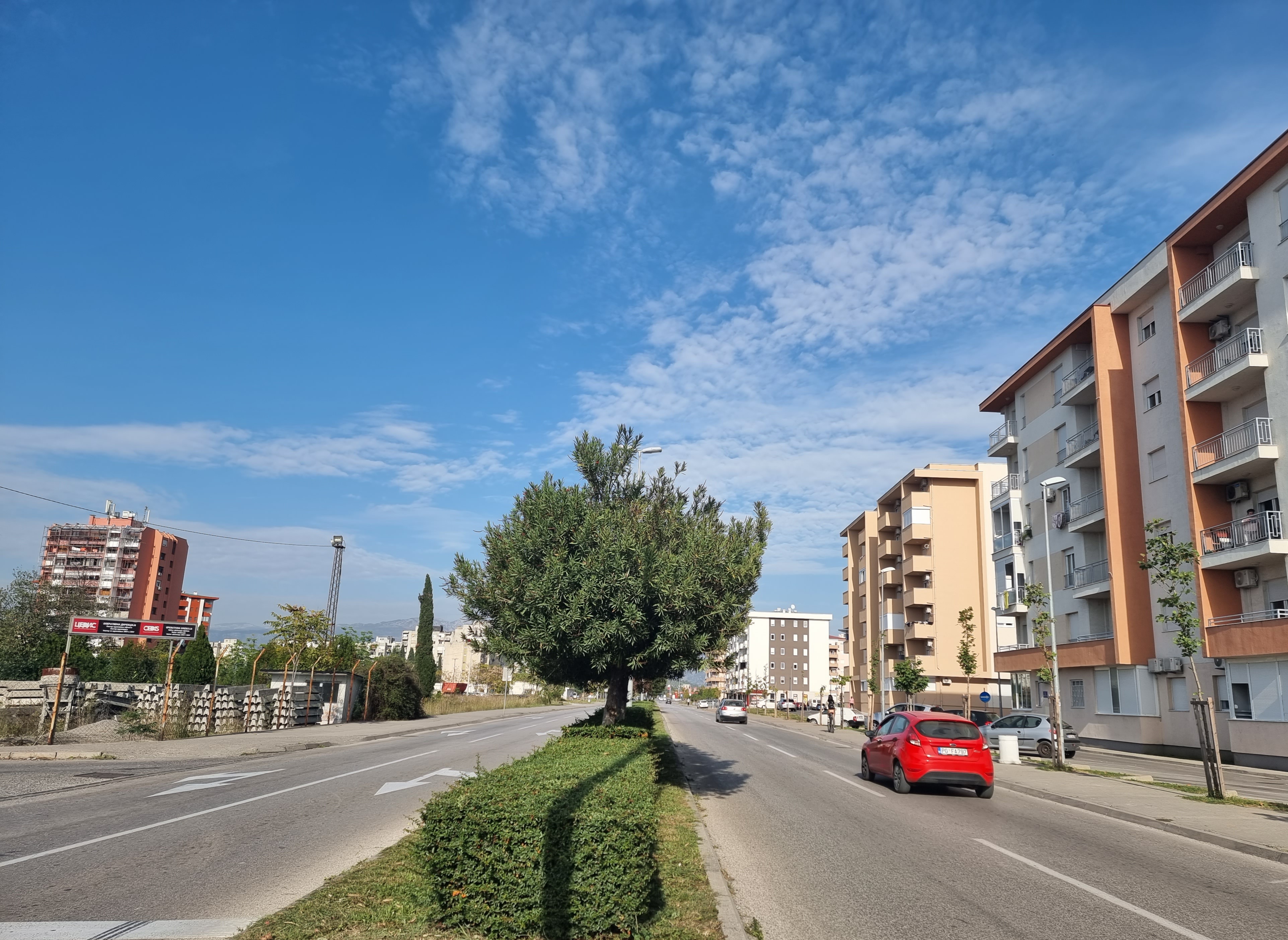 Ekipe gradskog preduzeća Zelenilo angažovane na više lokacija