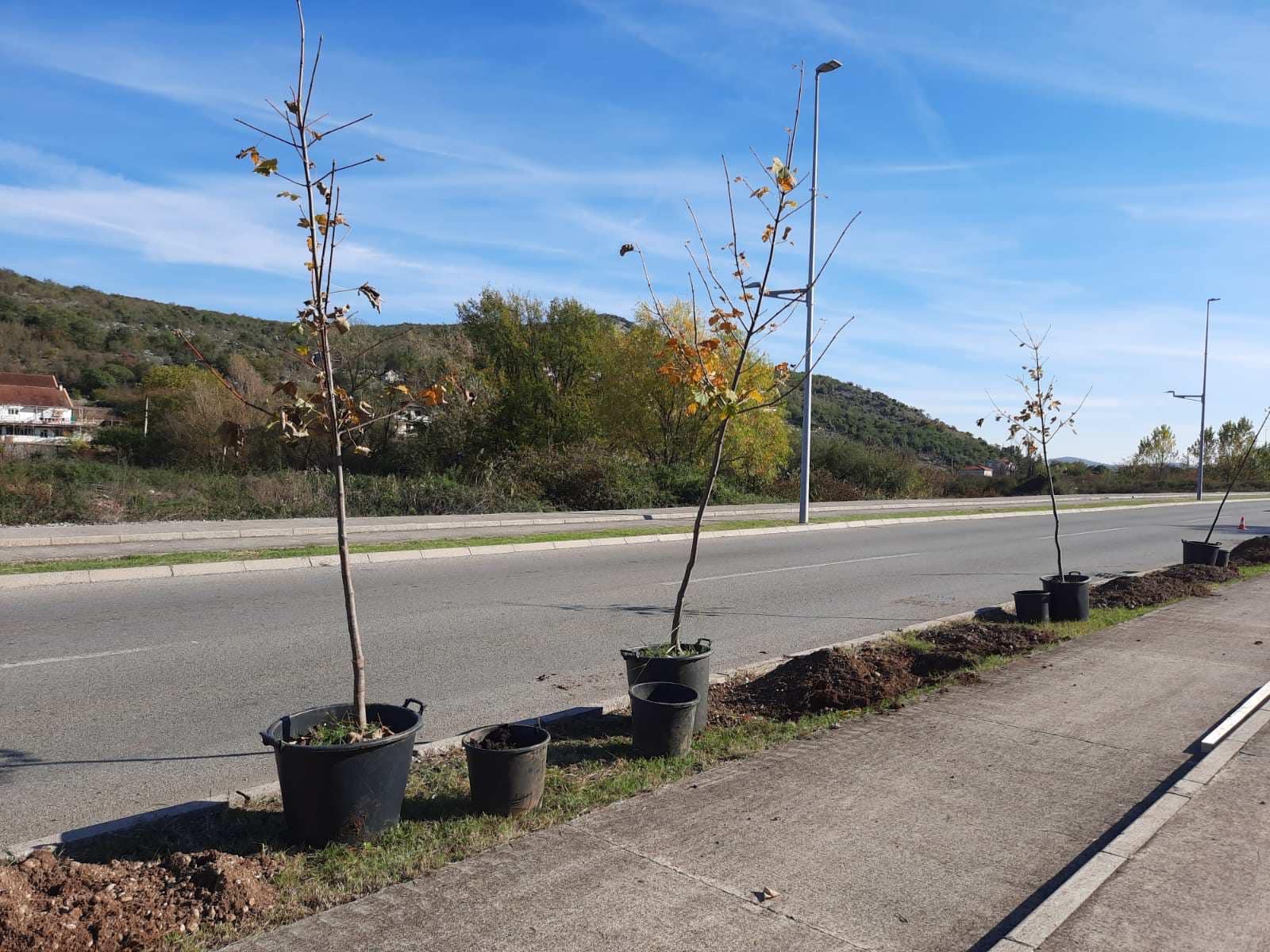 Novi drvoredi i radovi na pejzažnom uređenje u Ulici SKOJ-a