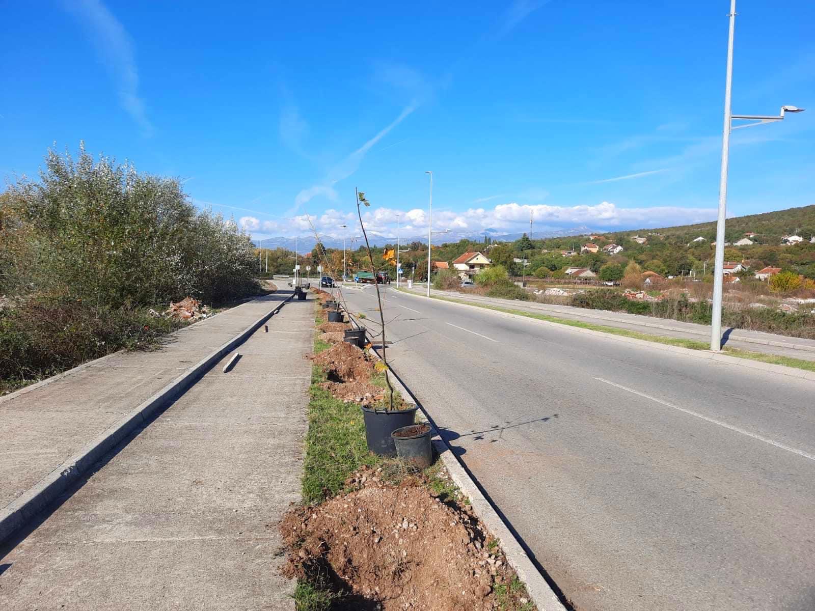 Novi drvoredi i radovi na pejzažnom uređenje u Ulici SKOJ-a