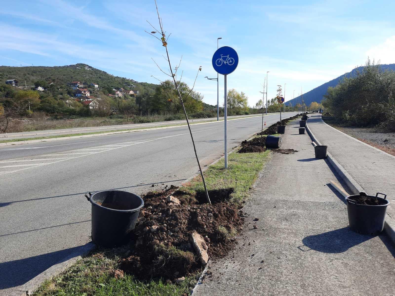 Novi drvoredi i radovi na pejzažnom uređenje u Ulici SKOJ-a