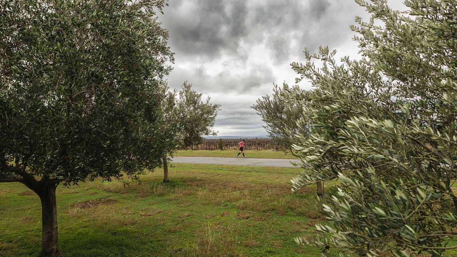 Završeno drugo izdanje manifestacije Podgorica Millennium run