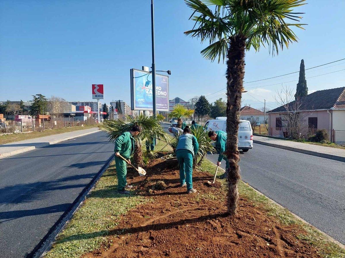 U toku radovi na uređenju razdjelnih ostrva na Bulevaru knjaza Danila