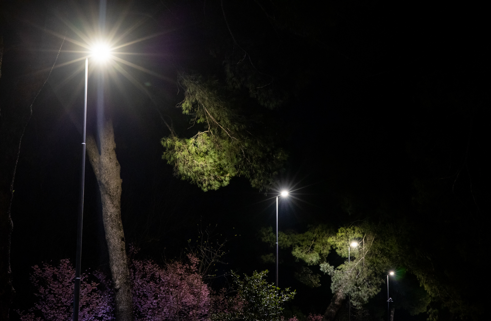 Modernizovana javna rasvjeta na više lokacija u Podgorici