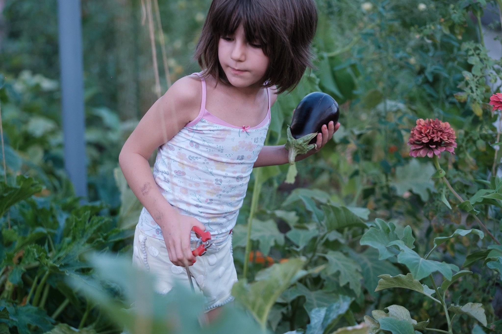 Podržite zelenu priču u srcu Glavnog grada; Glasajte za projekat Urbana bašta Podgorica- finalistu New European Bauhuas takmičenja