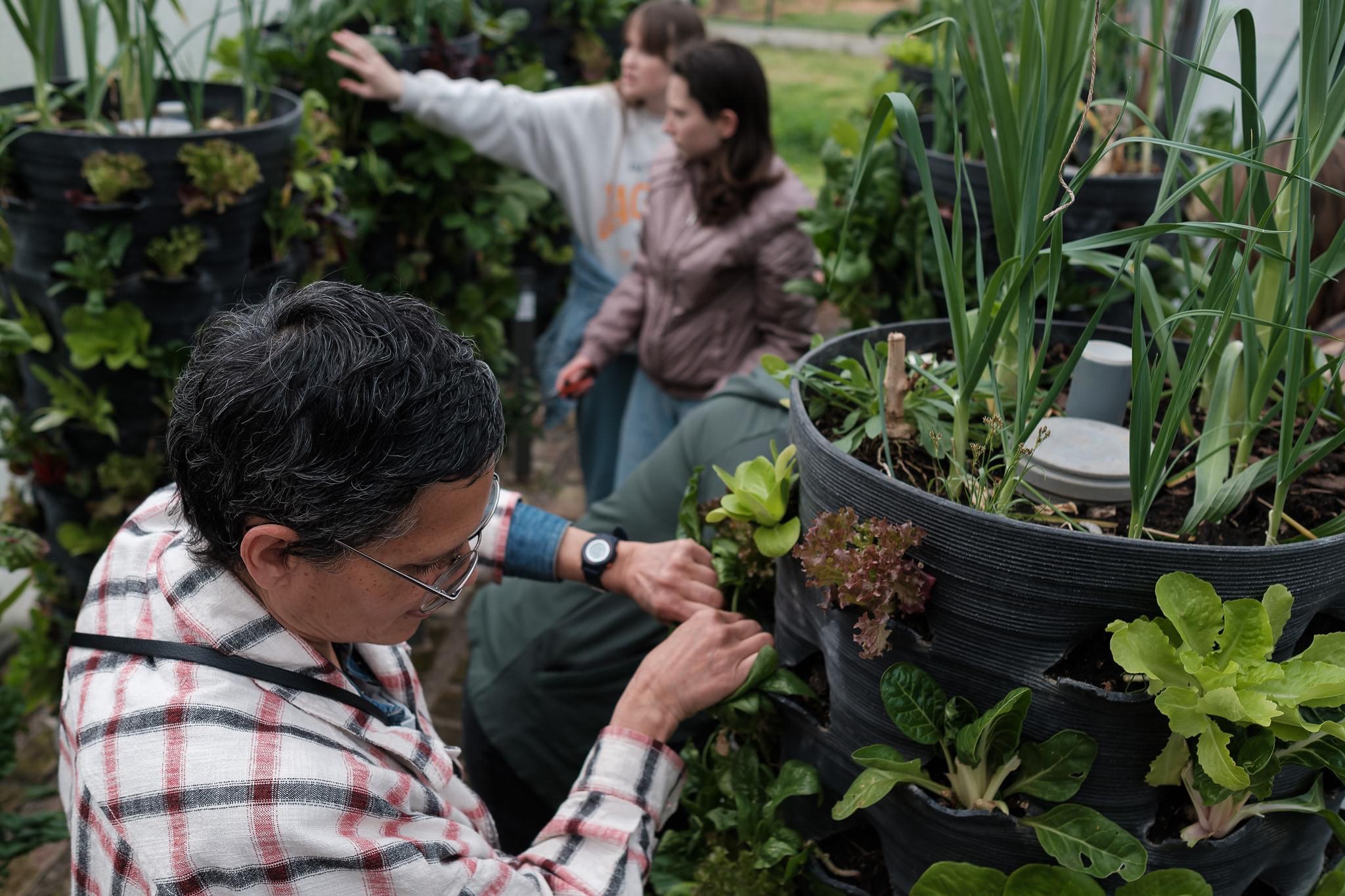 Podržite zelenu priču u srcu Glavnog grada; Glasajte za projekat Urbana bašta Podgorica- finalistu New European Bauhuas takmičenja