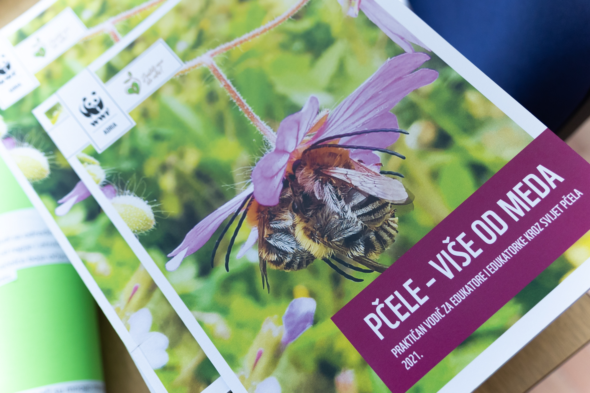 Održana edukativna radionica za osnovce o značaju pčela