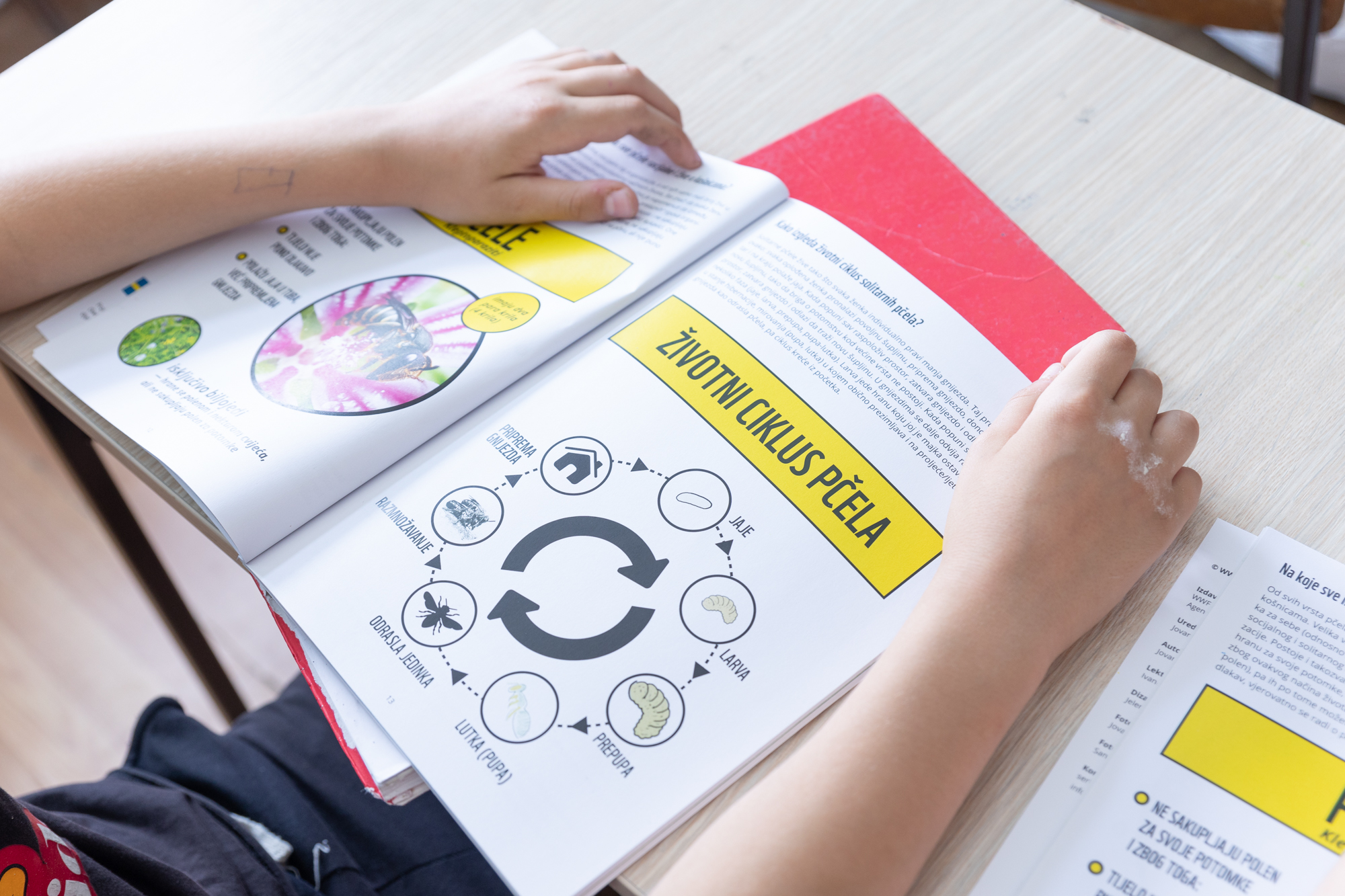 Održana edukativna radionica za osnovce o značaju pčela