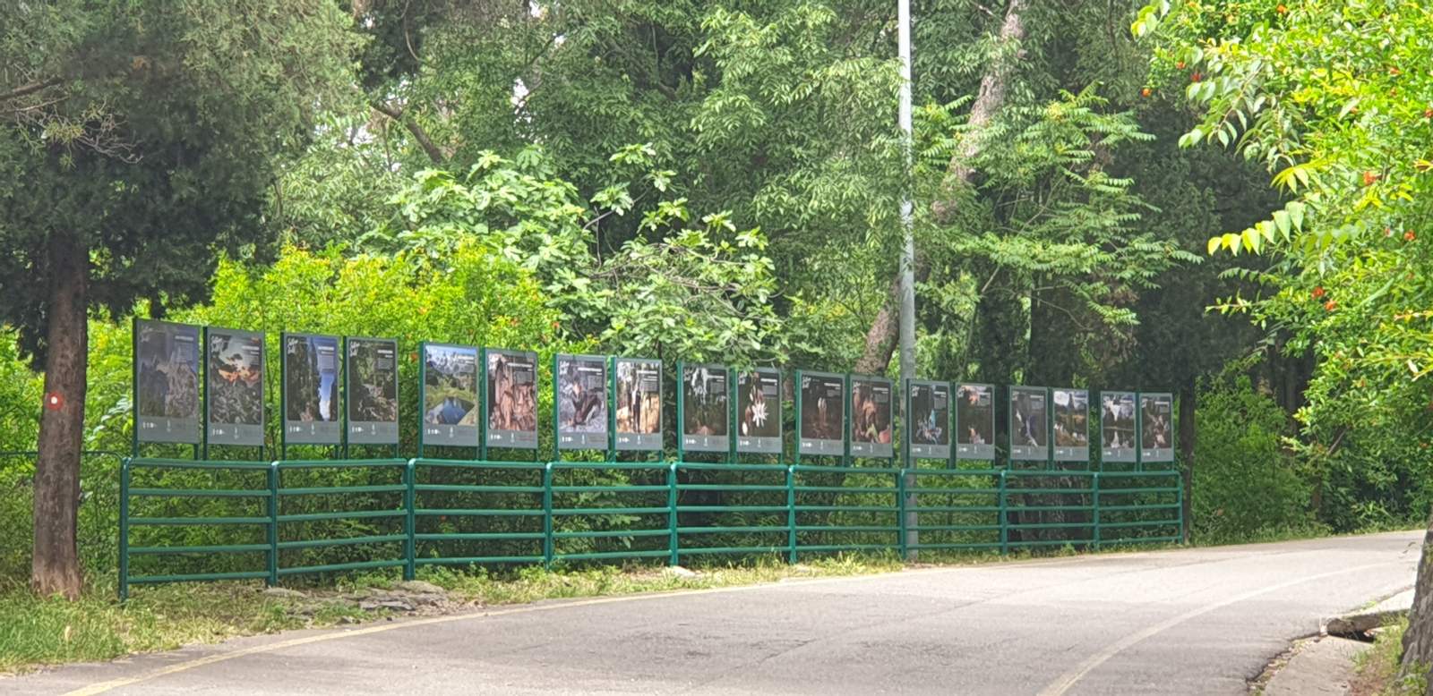 Izložba fotografija "Zaštiti ono što voliš" večeras na Gorici
