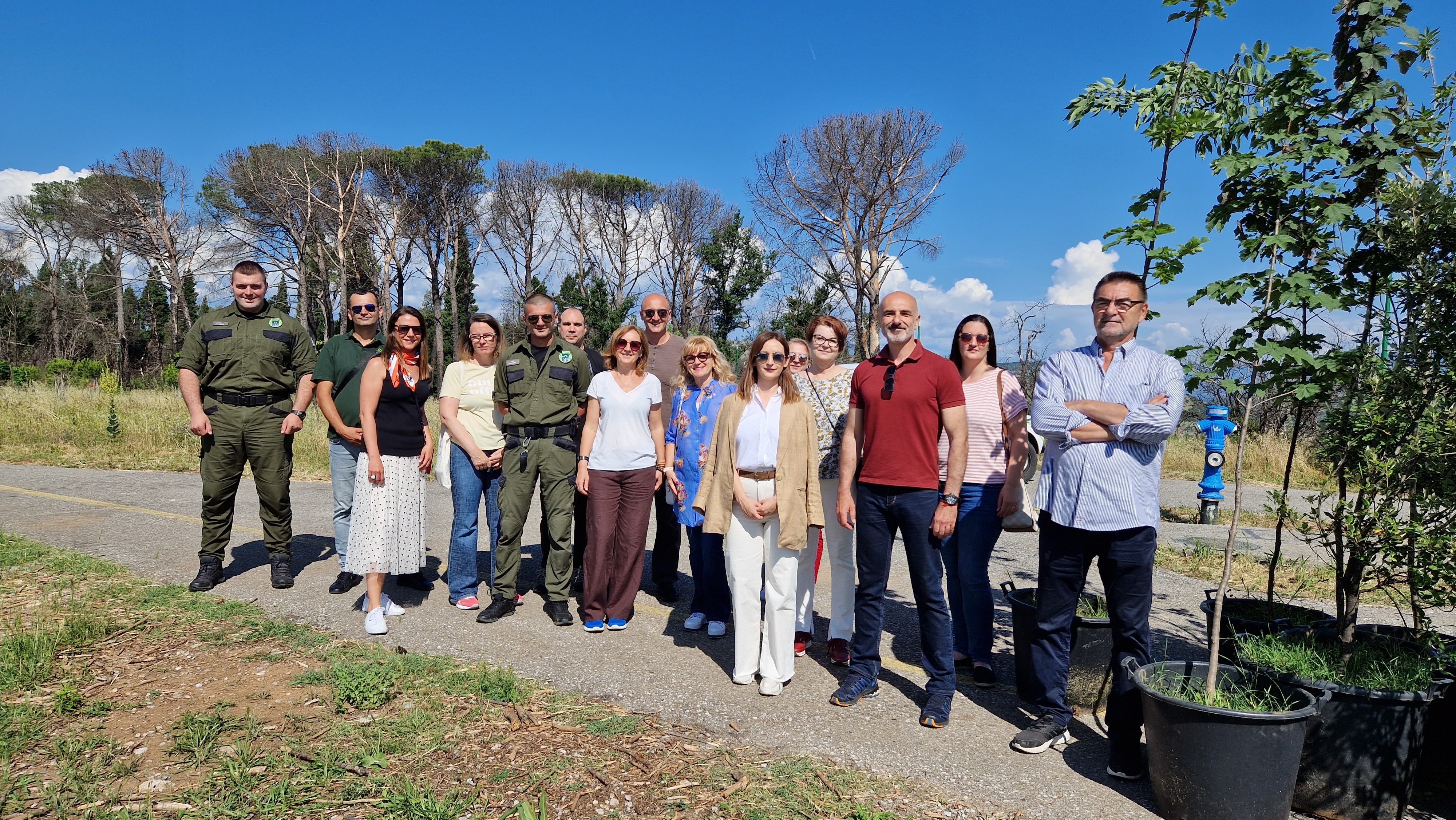 Akcijom pošumljavanja brda Gorica obilježen Svjetski dan zaštite životne sredine