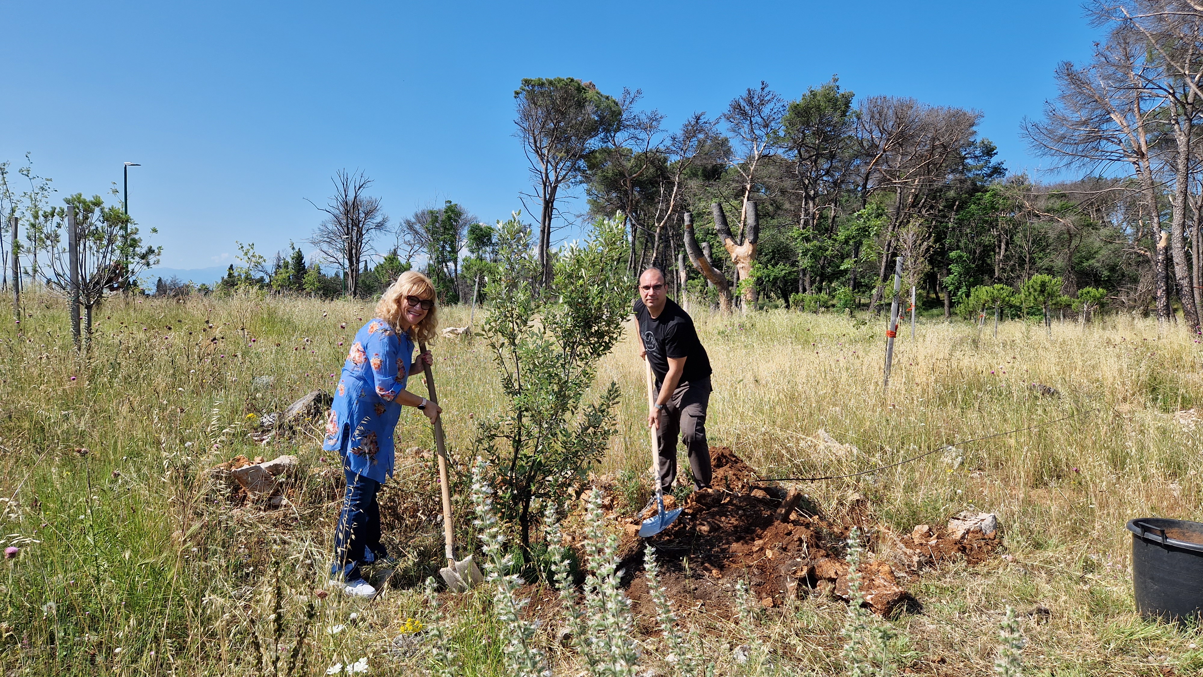 Akcijom pošumljavanja brda Gorica obilježen Svjetski dan zaštite životne sredine