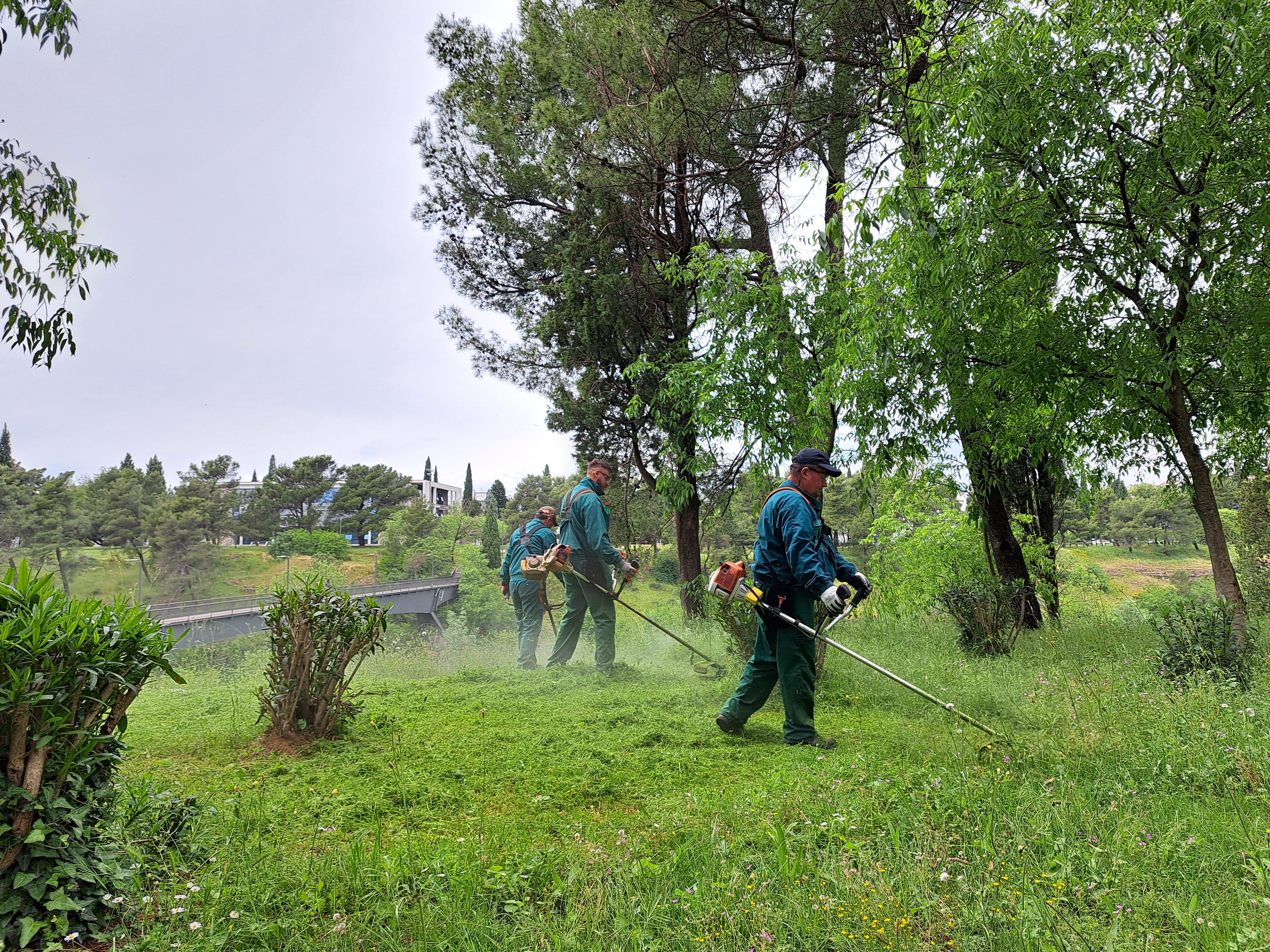 Ekipe Zelenila na više lokacija; Košenje prioritet tokom narednih dana