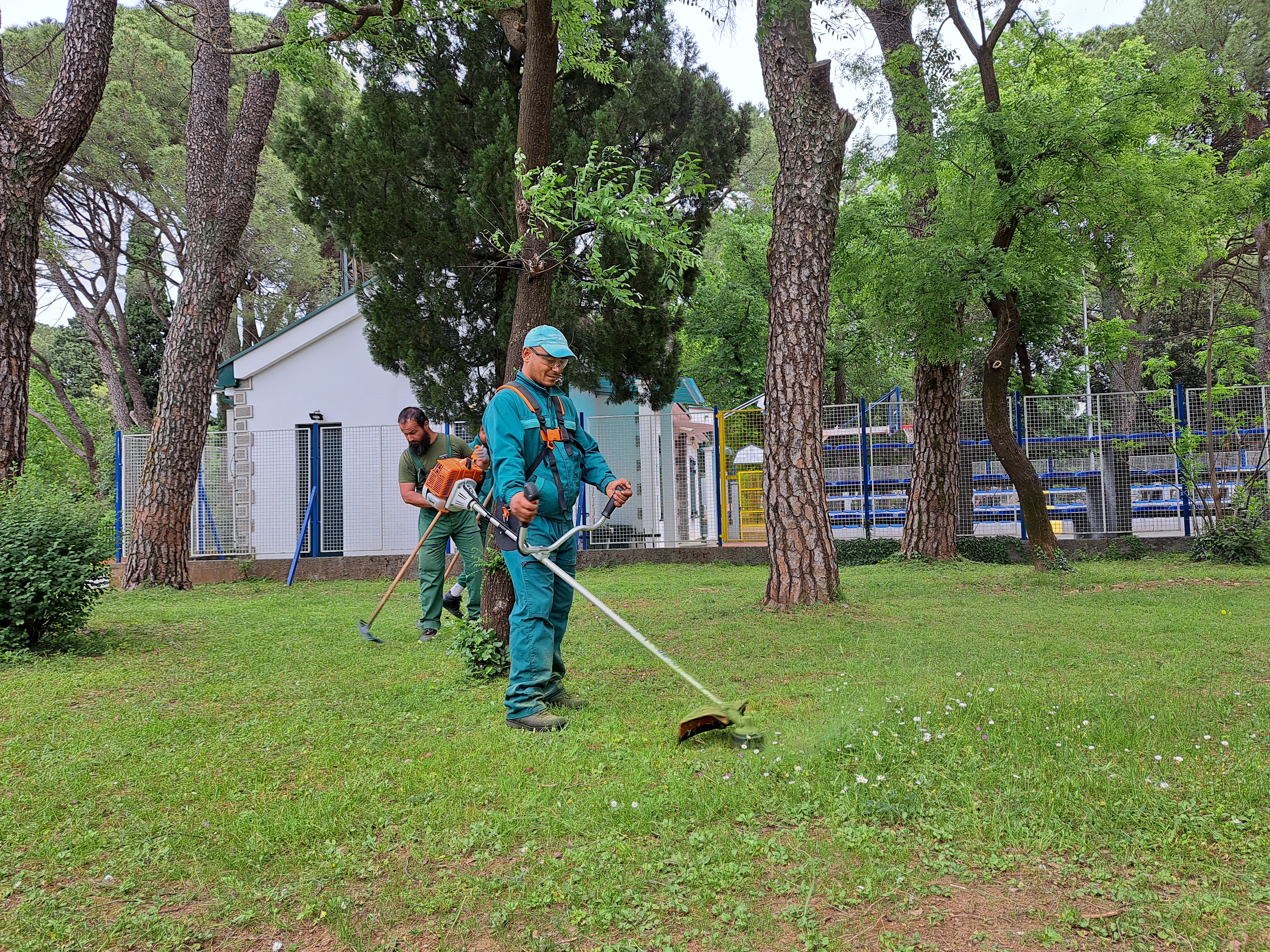 Ekipe Zelenila na više lokacija; Košenje prioritet tokom narednih dana