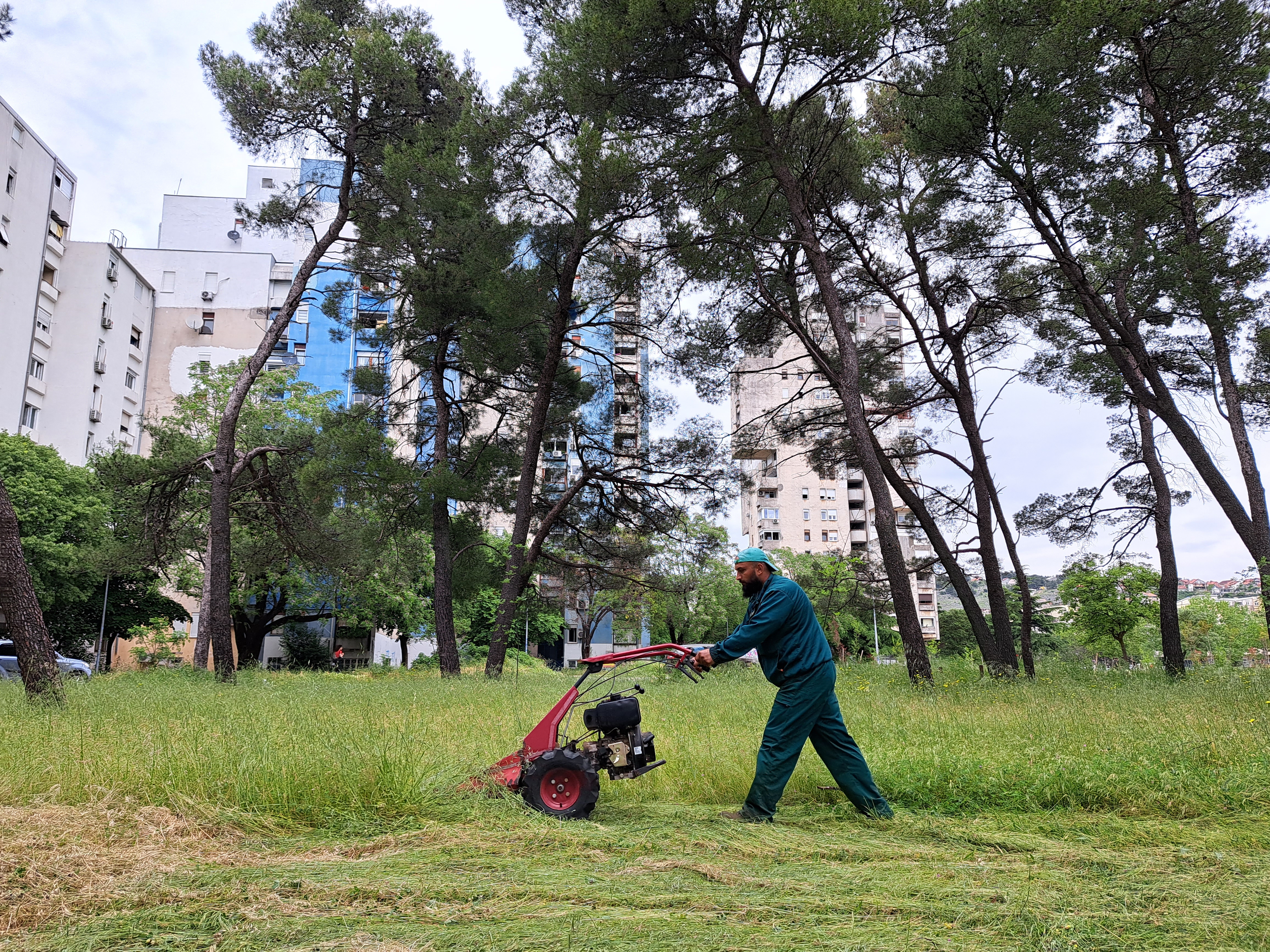 Ekipe Zelenila na više lokacija; Košenje prioritet tokom narednih dana