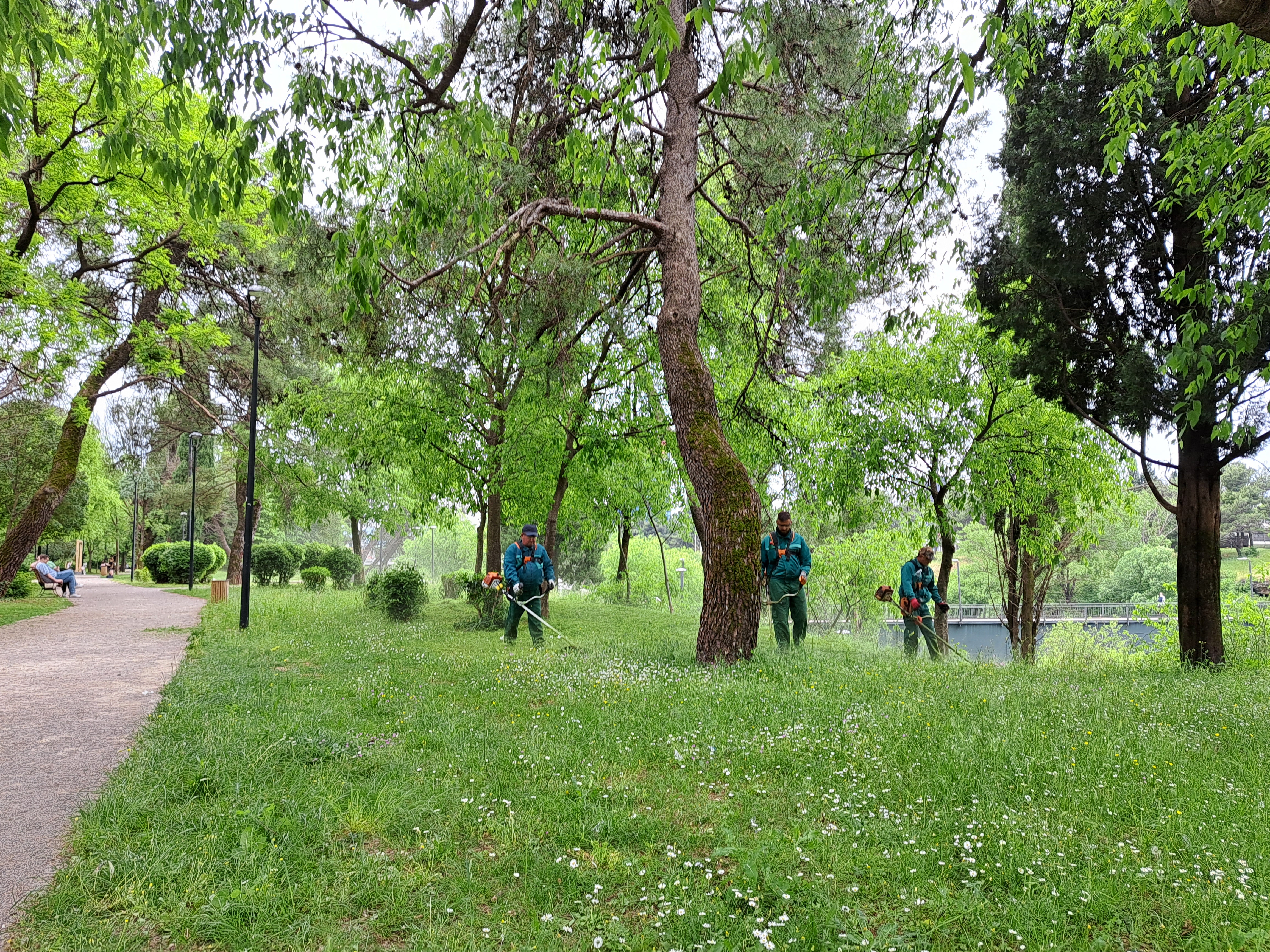 Ekipe Zelenila na više lokacija; Košenje prioritet tokom narednih dana