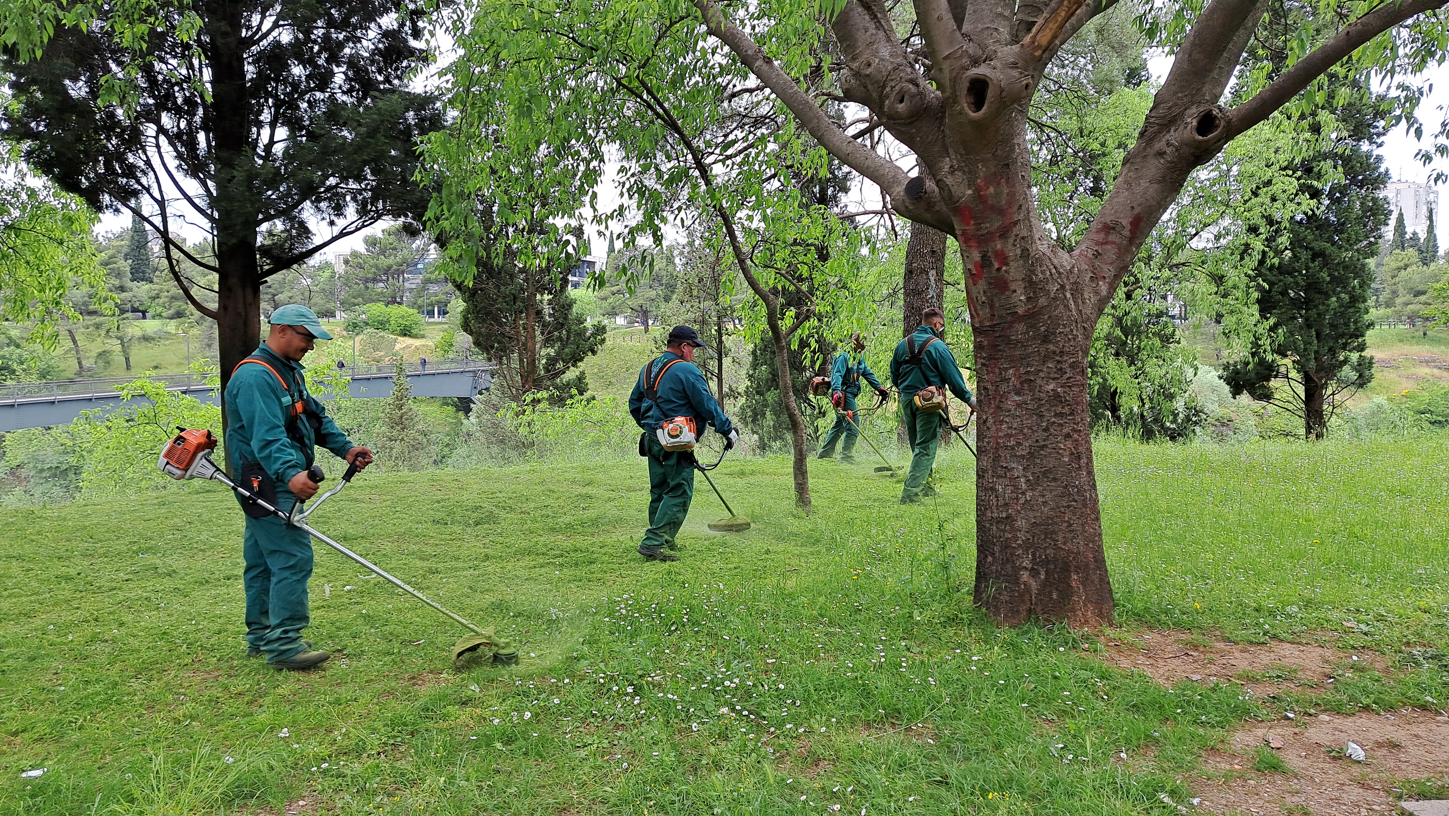 Ekipe Zelenila na više lokacija; Košenje prioritet tokom narednih dana