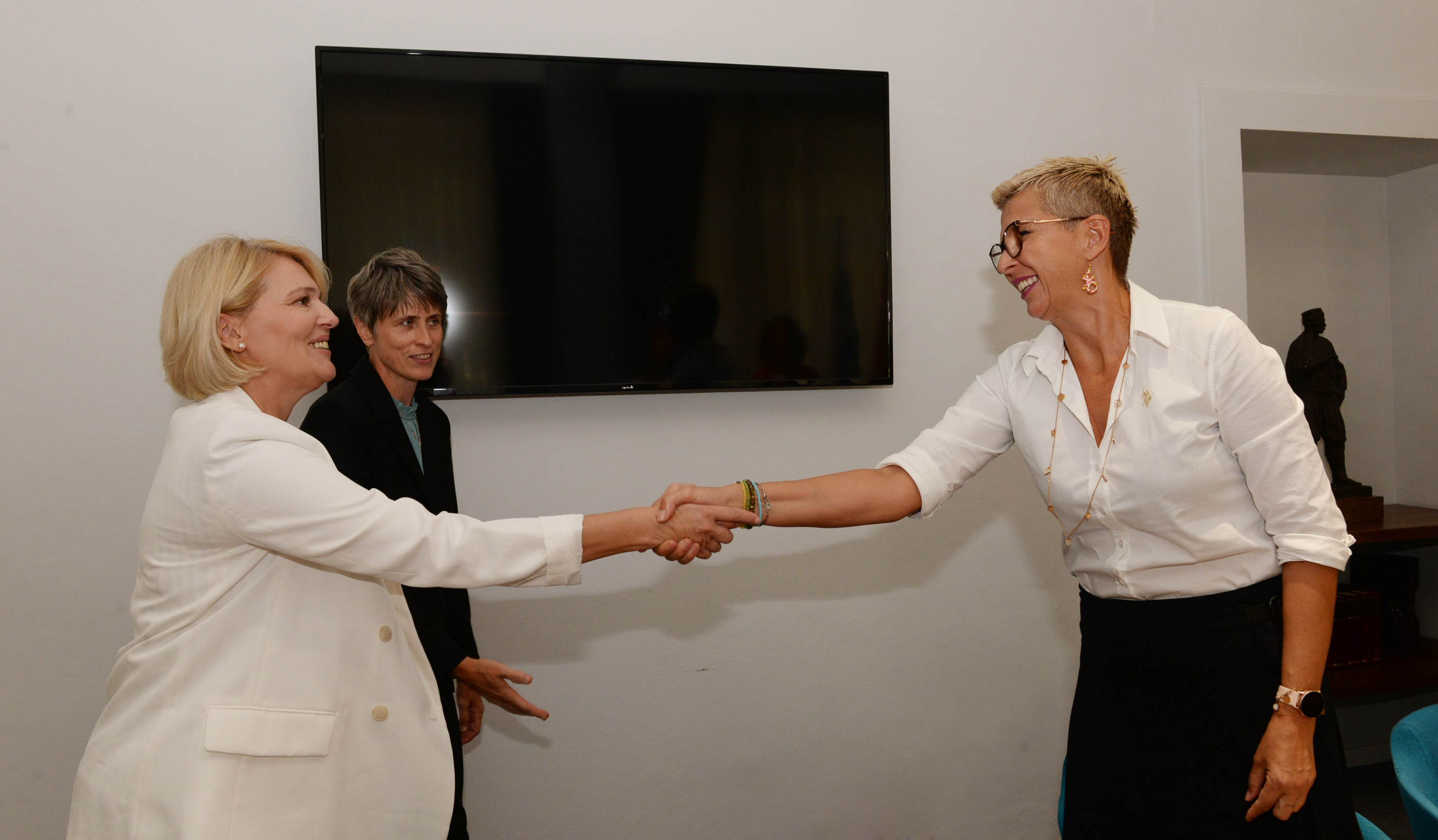 Injac- Paniklova: UNDP važan partner Glavnom gradu na budućim projektima