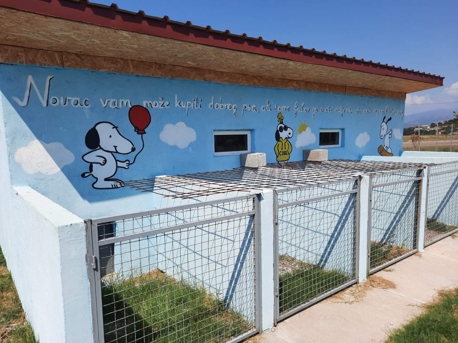 Udomi- ne kupuj; Sklonište za napuštene kućne ljubimce u subotu otvoreno za posjete u još jednom terminu