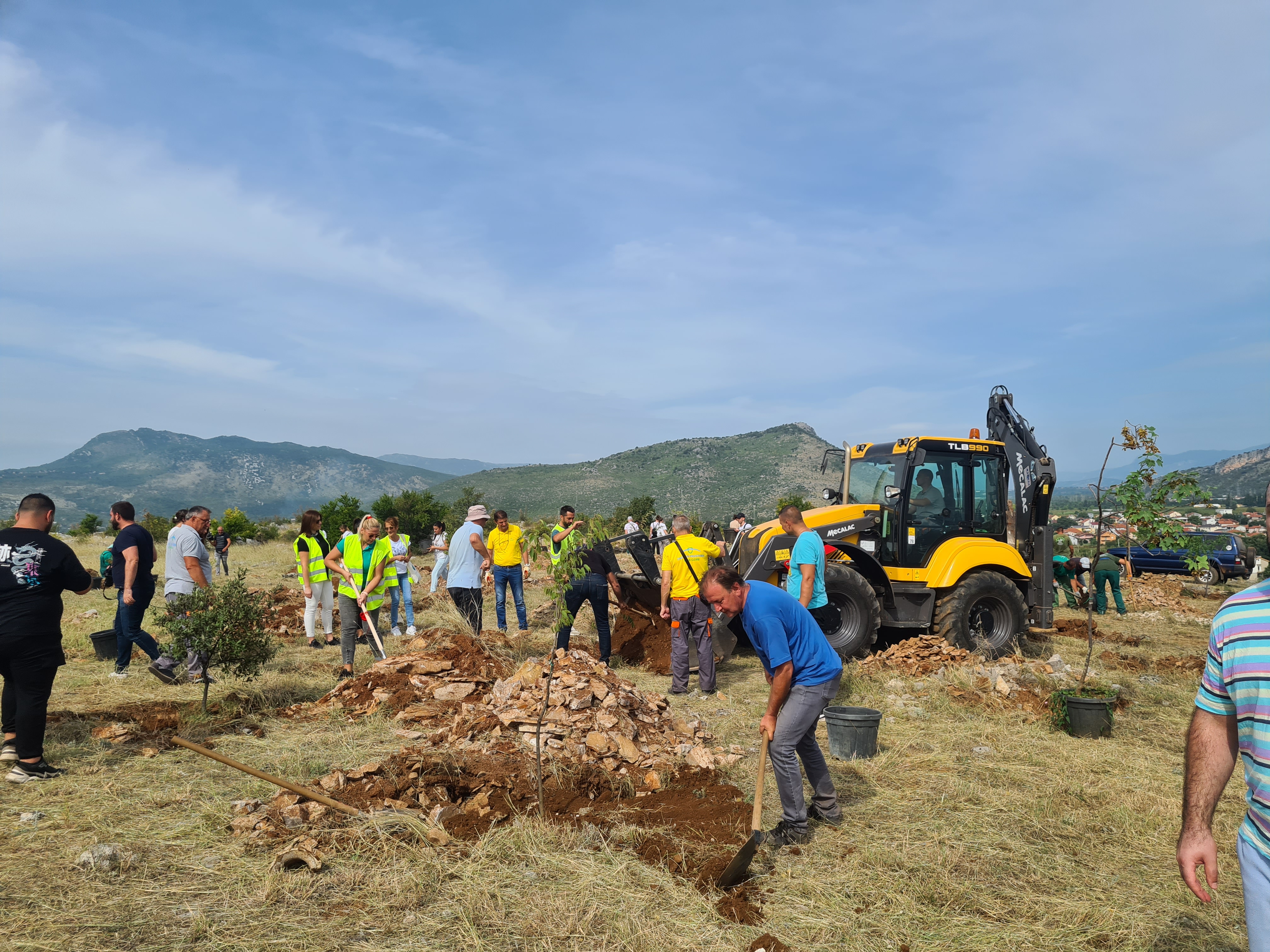 Počelo sistemsko pošumljavanje Lješkopoljske Gorice